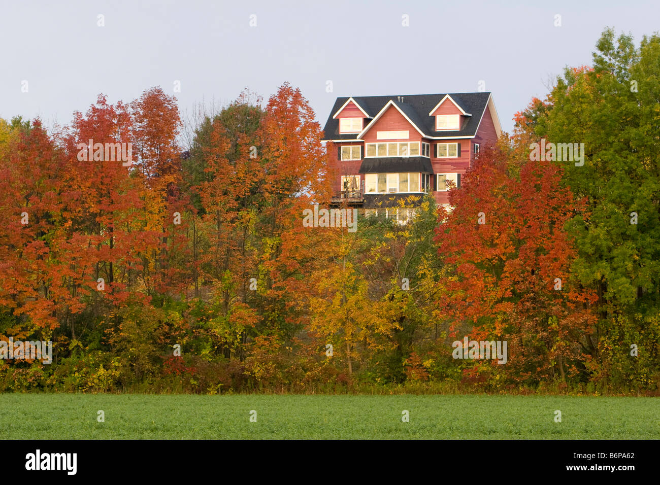 Ein Haus versteckt in rot und Orange Blätter des Herbstes in ländlichen Vermont 6. Oktober 2008 Stockfoto