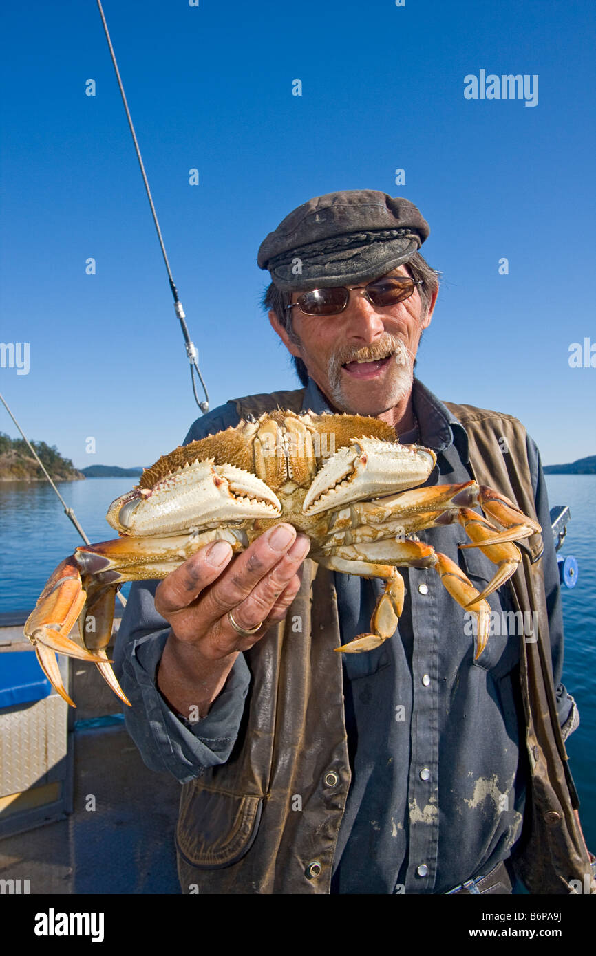 Capt Gary Le Marchant, die Krabben für 30 Jahre hält frisch gefischt hat gefangen Dungeness Krabbe Stockfoto