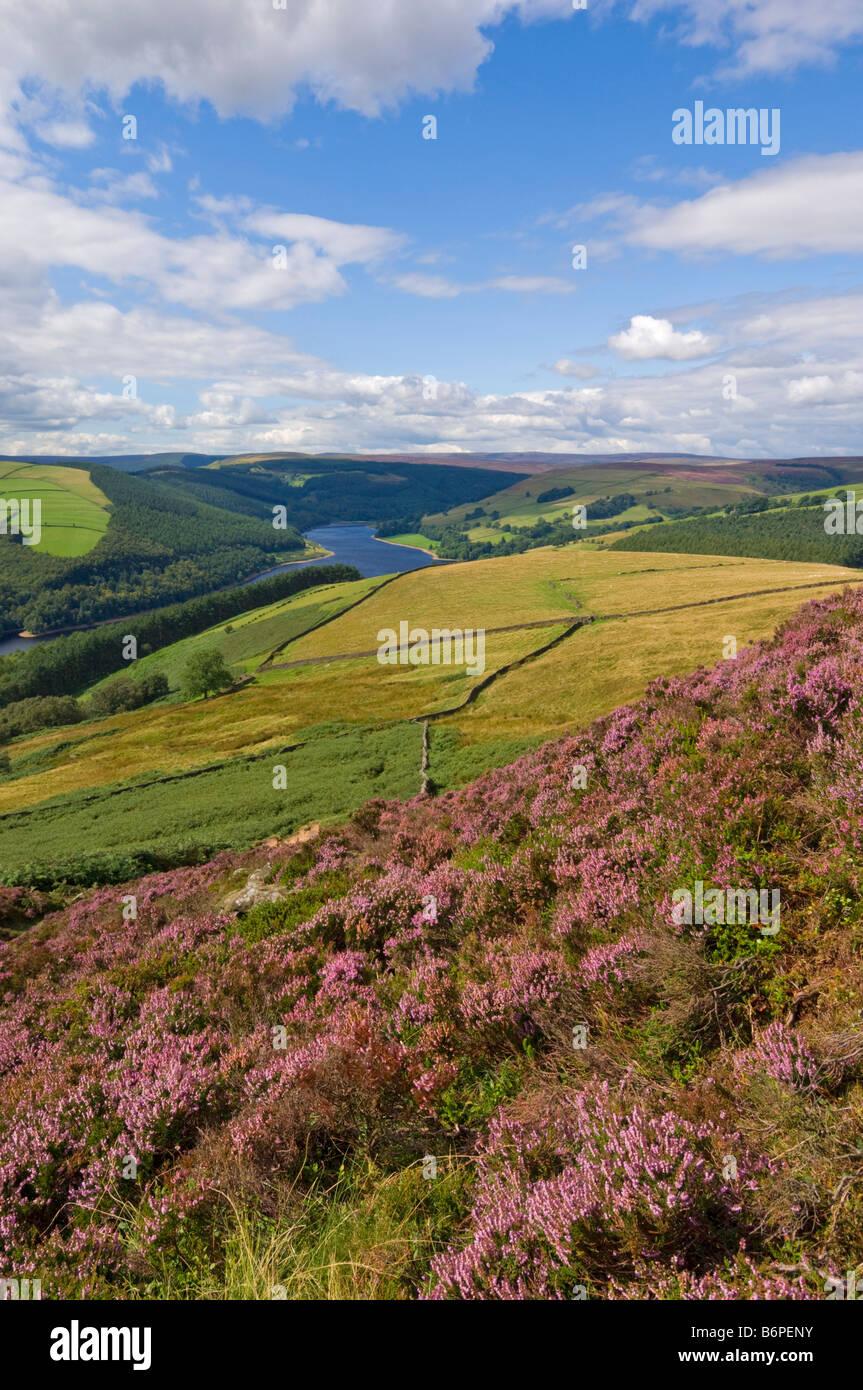 Whinstone lee Tor Derwent Rand Ladybower Vorratsbehälter Derbyshire Peak District national Park Derbyshire England UK GB EU Europa Stockfoto