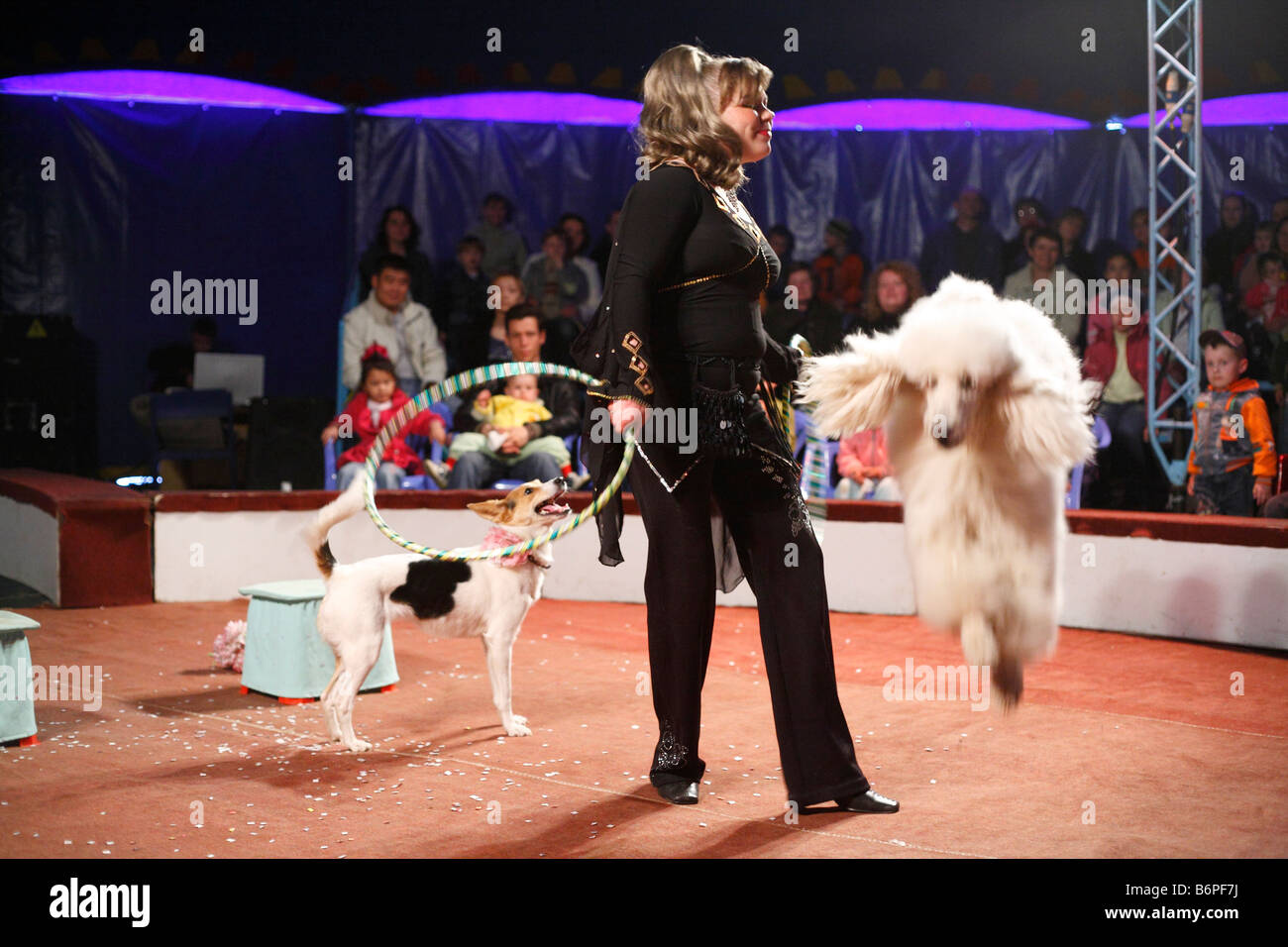 Zirkus Chapiteau Moskau Russland Stockfoto