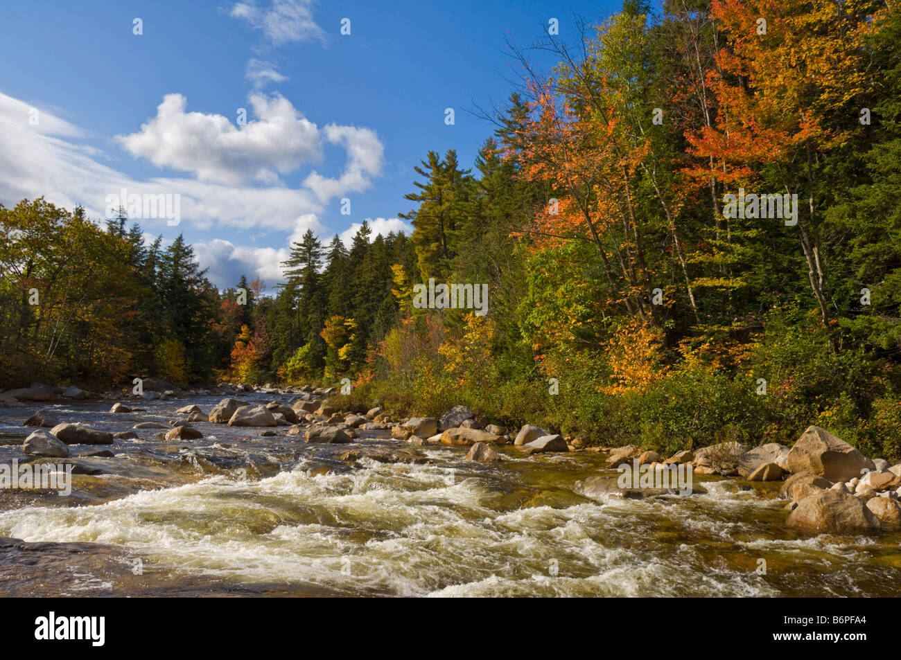SWIFT River Herbst Farben Kancamagus scenic Highway weißen Berge New England New Hampshire USA Vereinigte Staaten von Amerika Stockfoto