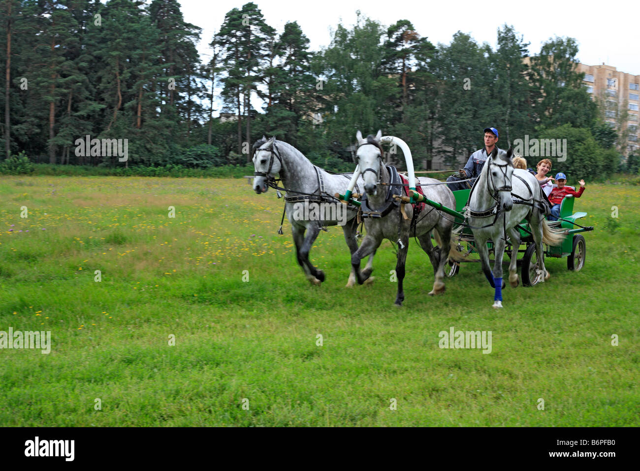 Troika, russische traditionelle Pferd Team fahren, Moscow Region, Russland Stockfoto