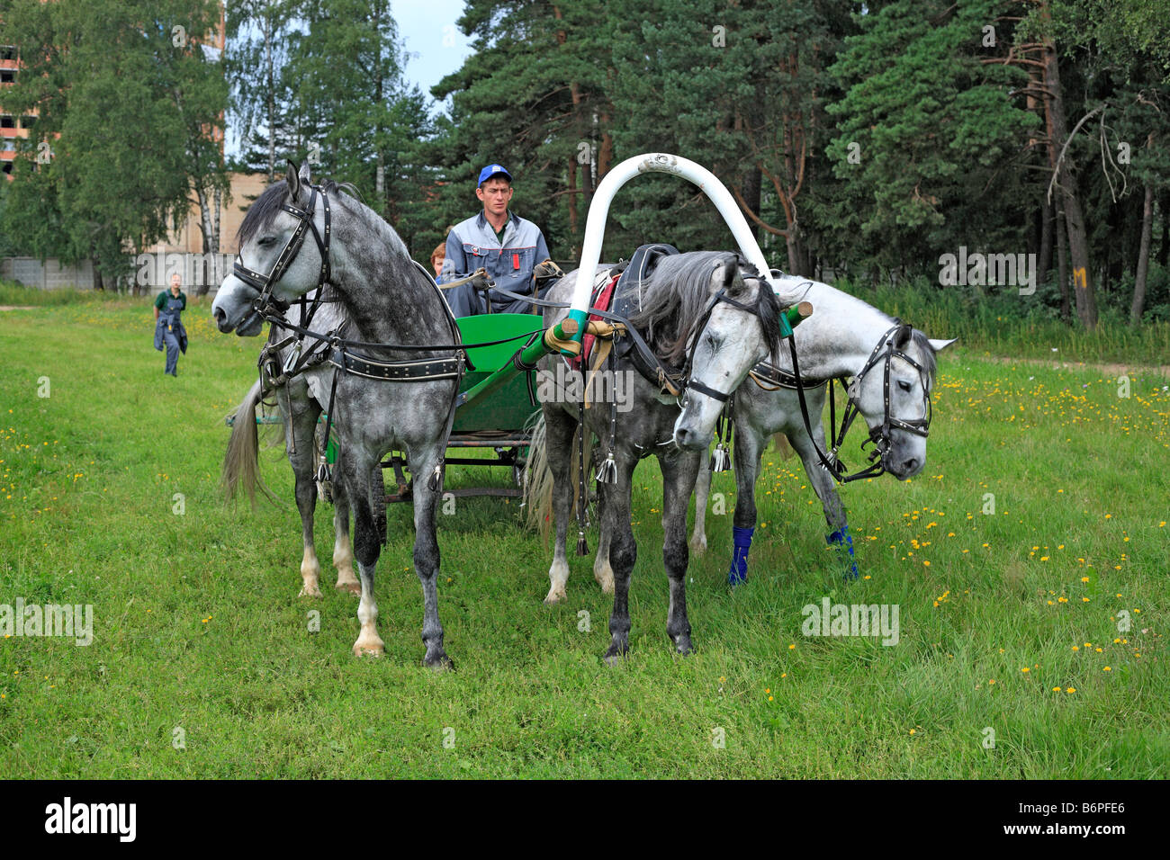 Troika, russische traditionelle Pferd Team fahren, Moscow Region, Russland Stockfoto