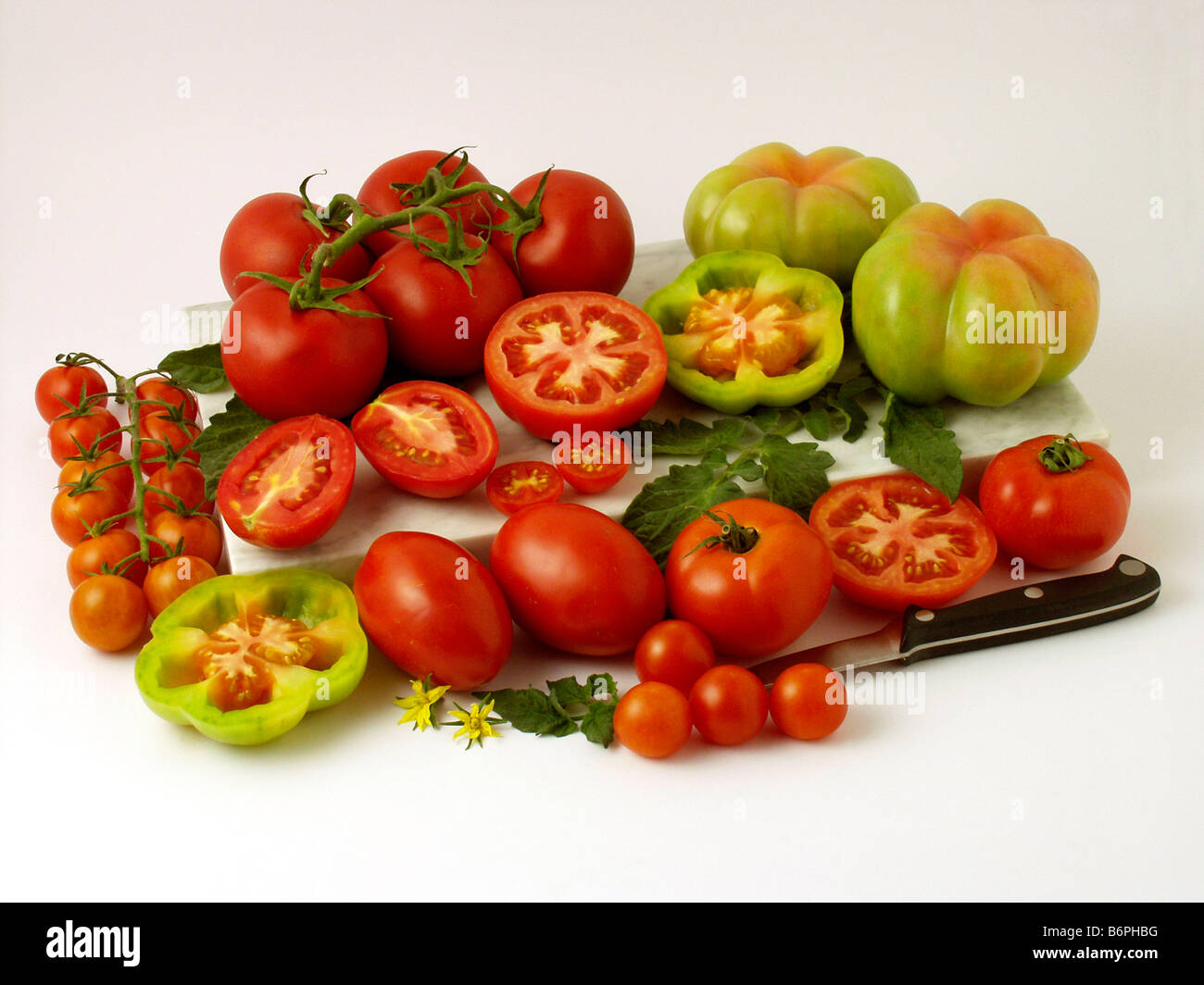Tomaten Stockfoto
