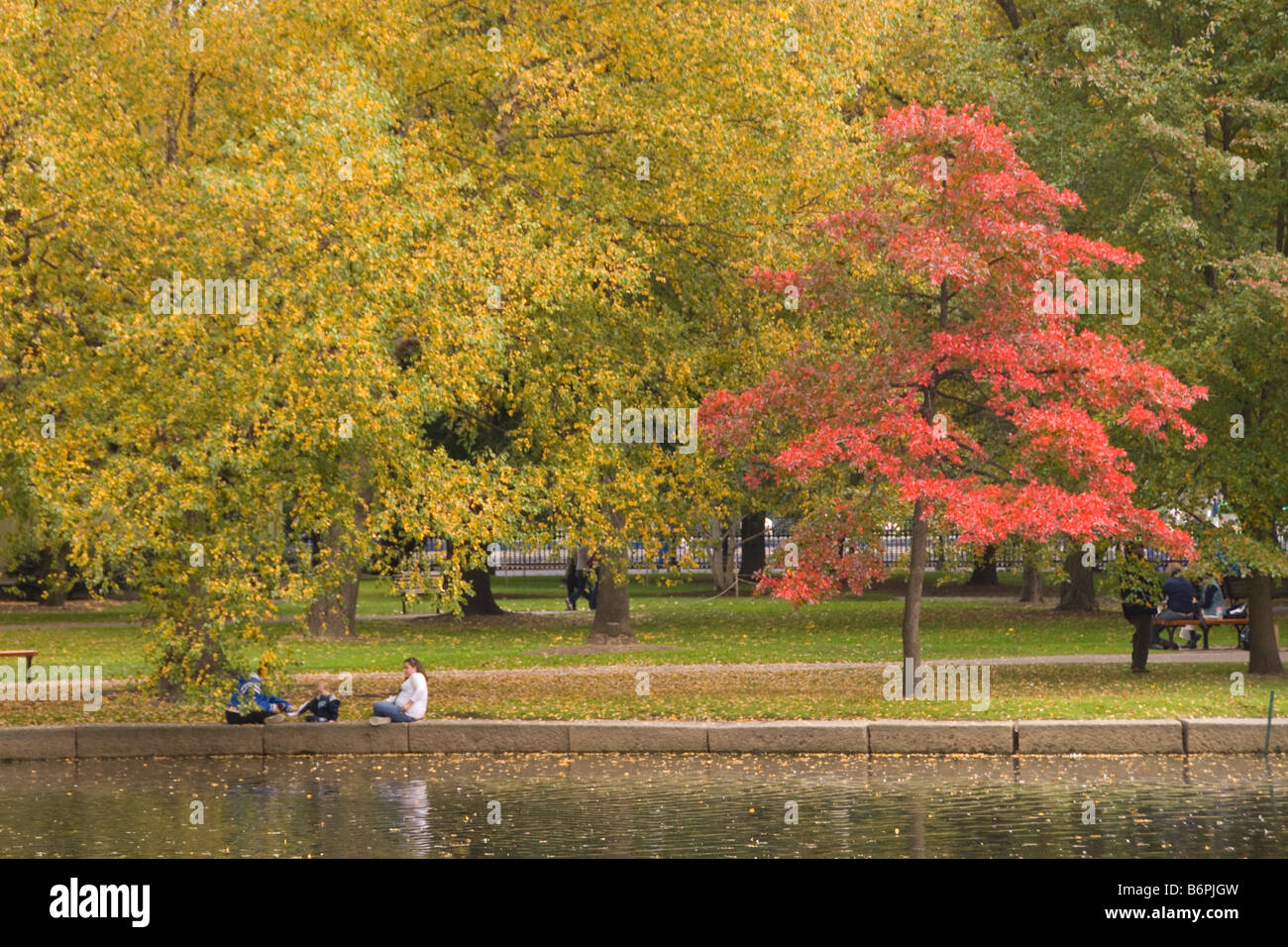 Herbstlaub in Boston Public Garden Stockfoto