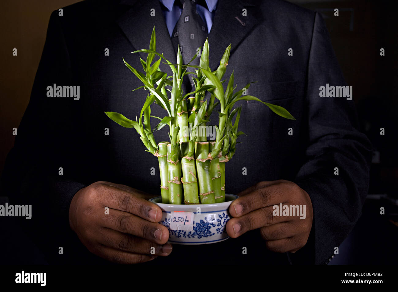 Ein afrikanischer Geschäftsmann hält eine Bambuspflanze Nairobi Kenia Stockfoto