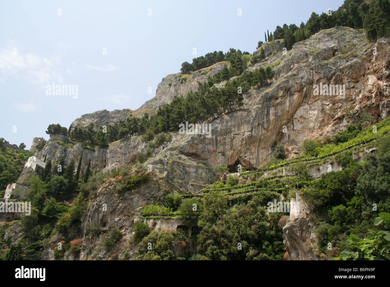terrassenförmig angelegten Zitrone Anbau zwischen Amalfi, Atrani, Amalfi-Küste, Kampanien, Italien Stockfoto