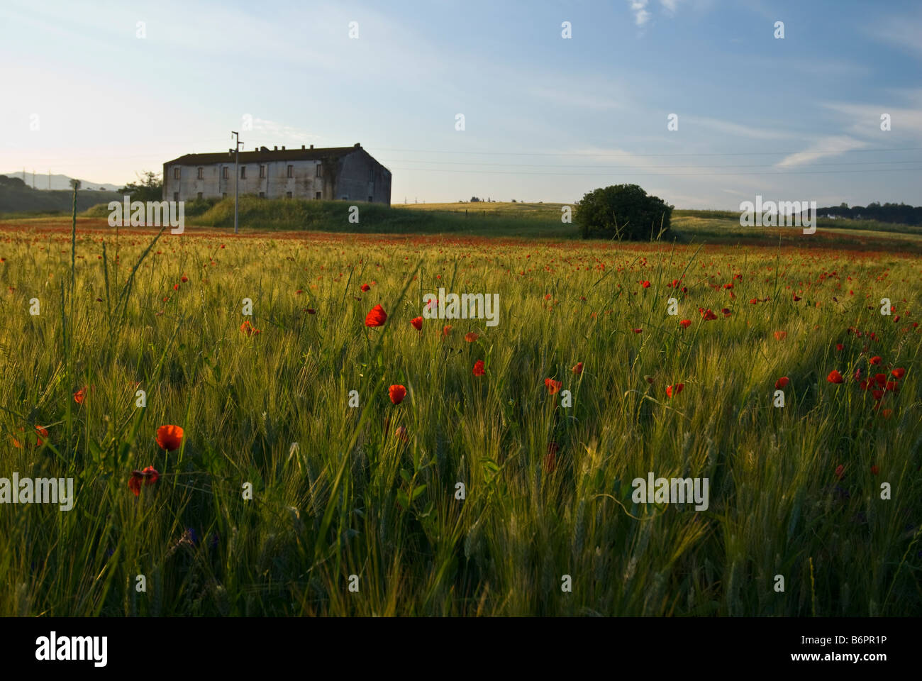 Lunghezza, in der Nähe von Rom, Italien, Landschaft Stockfoto