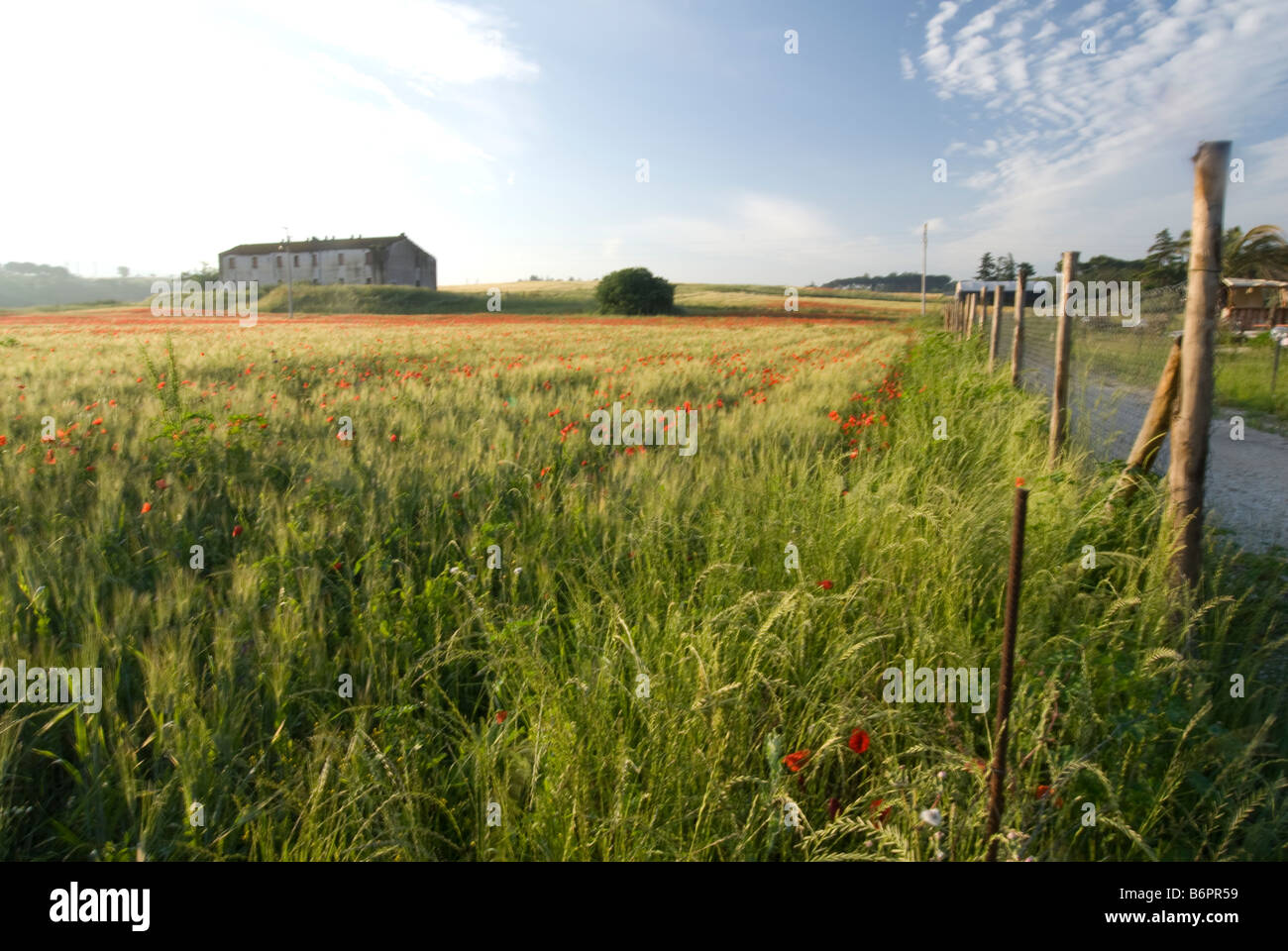Lunghezza, in der Nähe von Rom, Italien, Landschaft Stockfoto