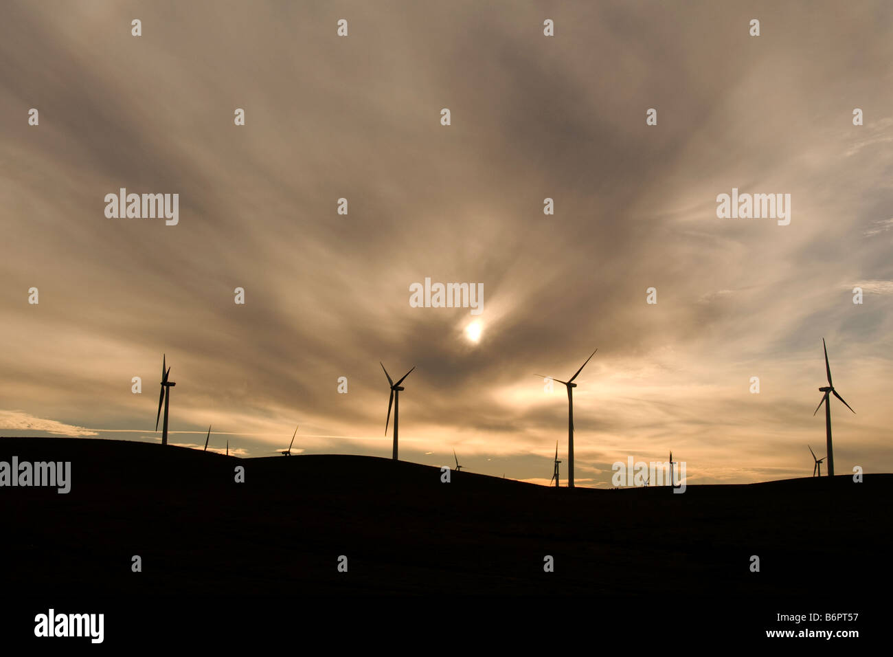 Solano Windkraft-Projekt in der Nähe von Rio Vista Kalifornien Vereinigte Staaten Stockfoto