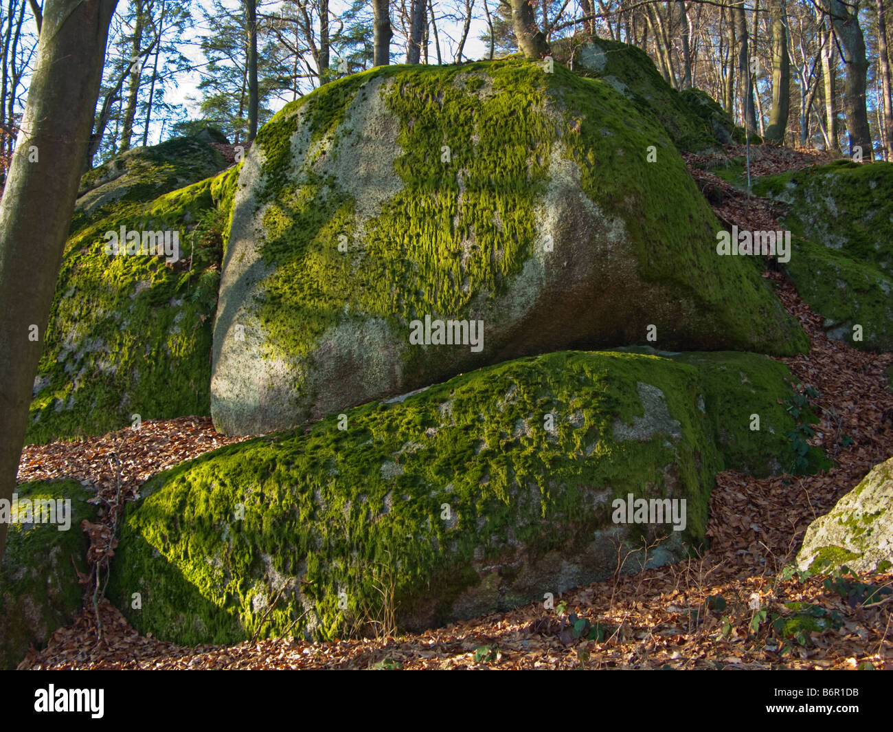 großer Stein Findlinge Findlinge drift Felsen thront Block Bäume Moos Wald bayerische deutsche Deutschland Europa Oberpfälz Stockfoto