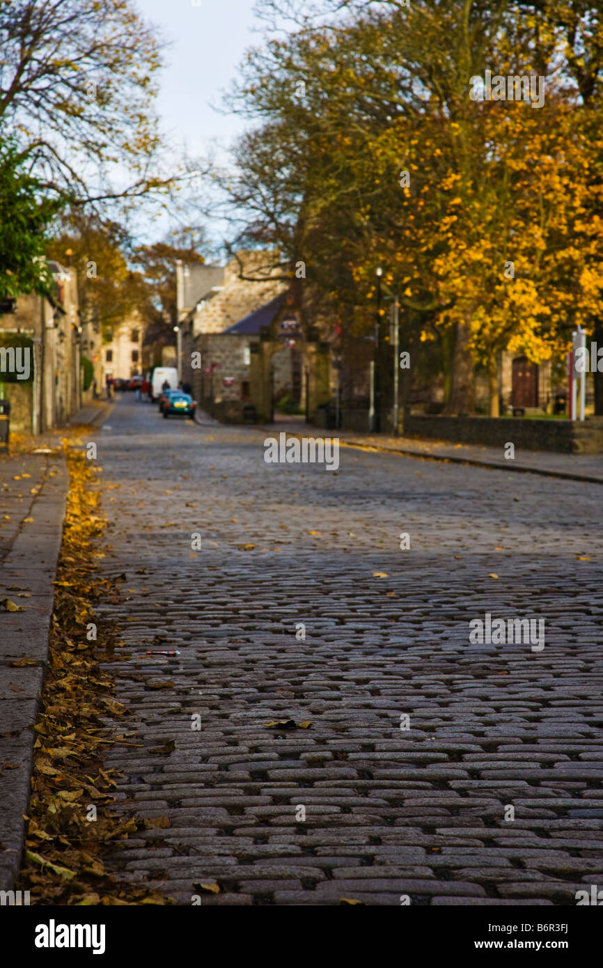 High Street, Old Aberdeen im Herbst Stockfoto