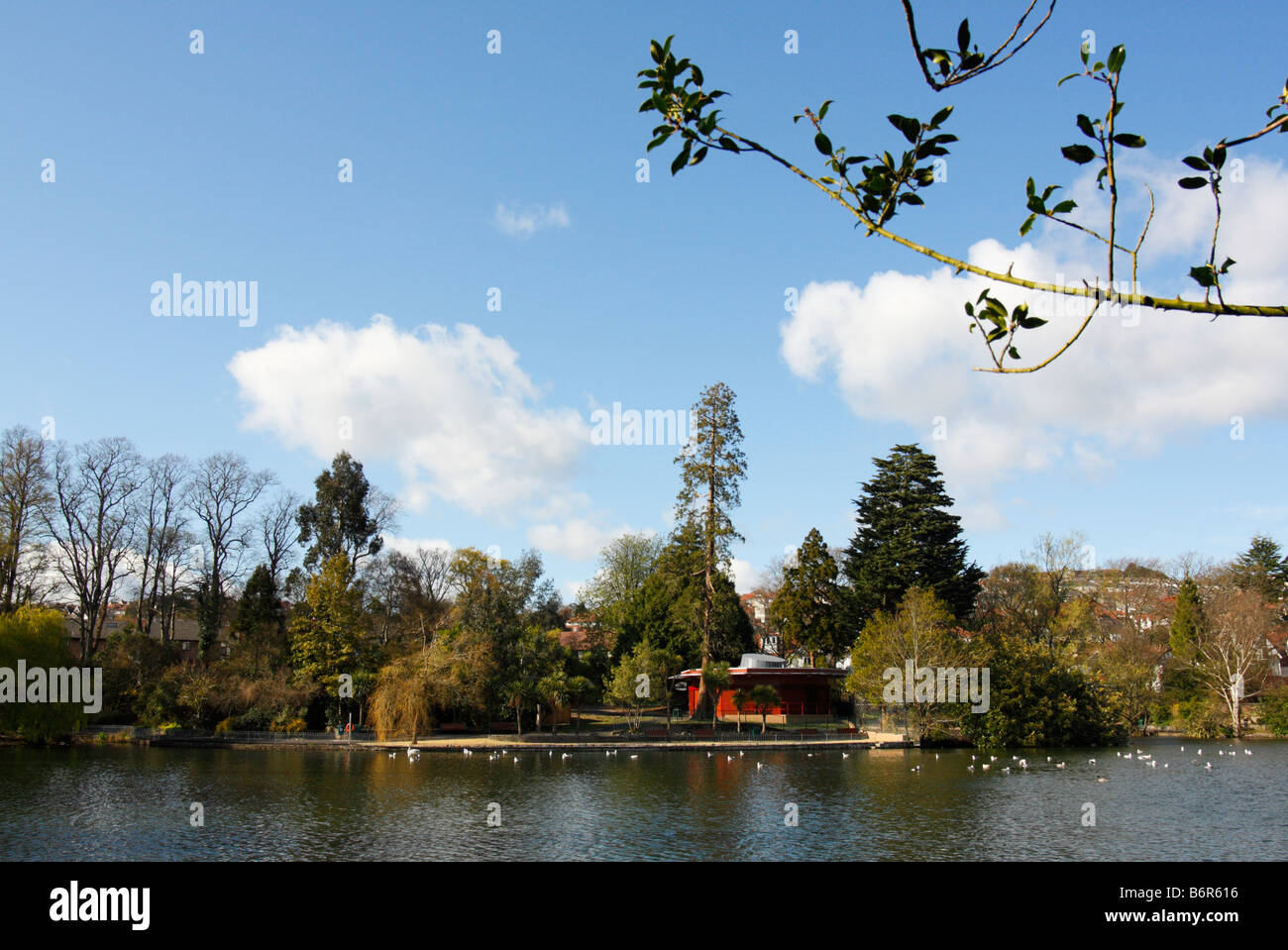 Brynmill Park, Swansea, West Glamorgan, South Wales, Großbritannien Stockfoto