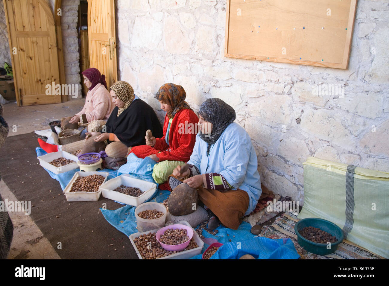 Marokko in Nordafrika Dezember vier marokkanischen Frauen mit Steinen, offene Obst Schalen der Arganbaum, die Kerne zu extrahieren zu brechen Stockfoto