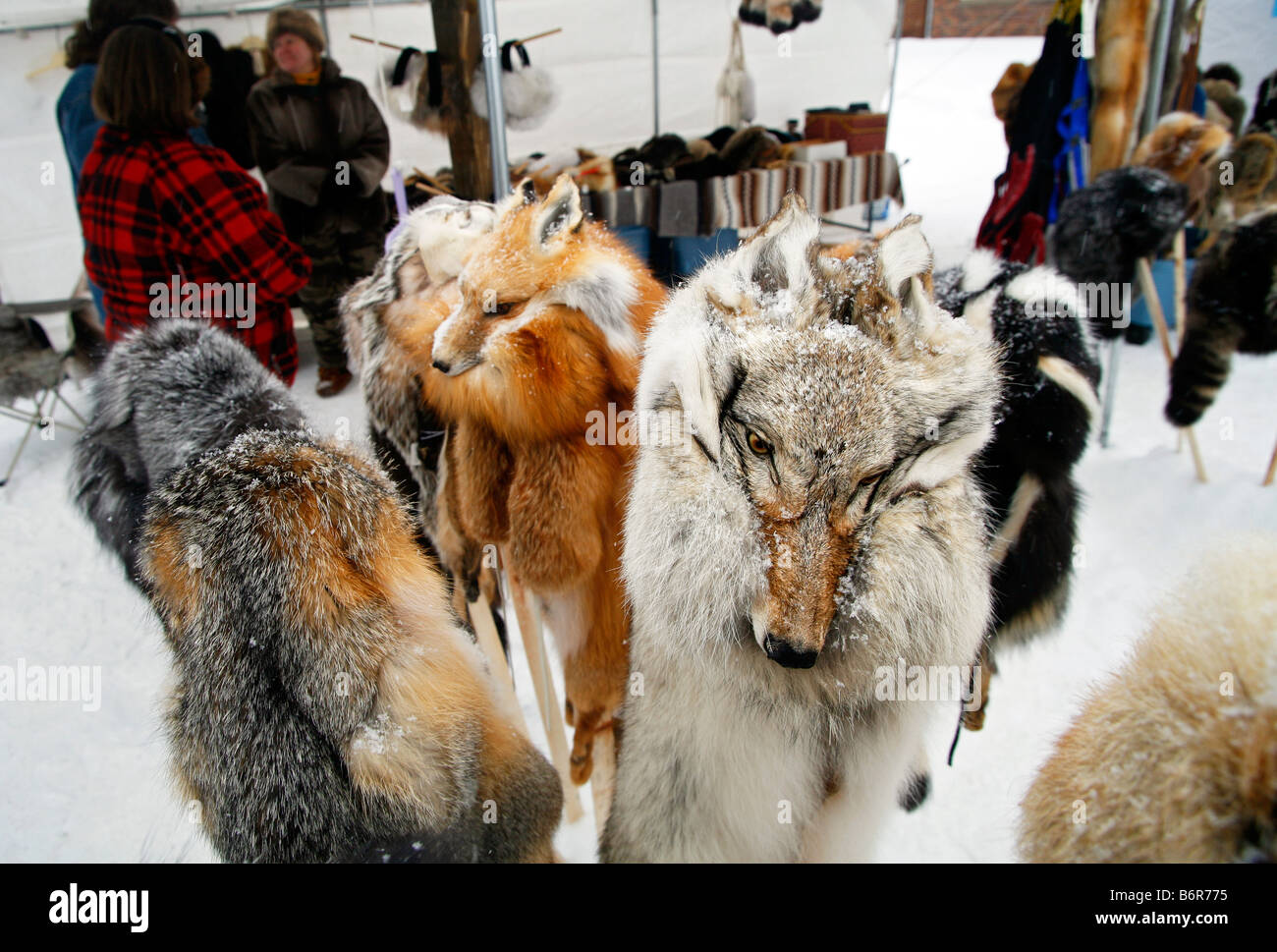 Pelzmütze für Verkauf bei einem Winterfestival in Land O Lakes Wisconsin Stockfoto