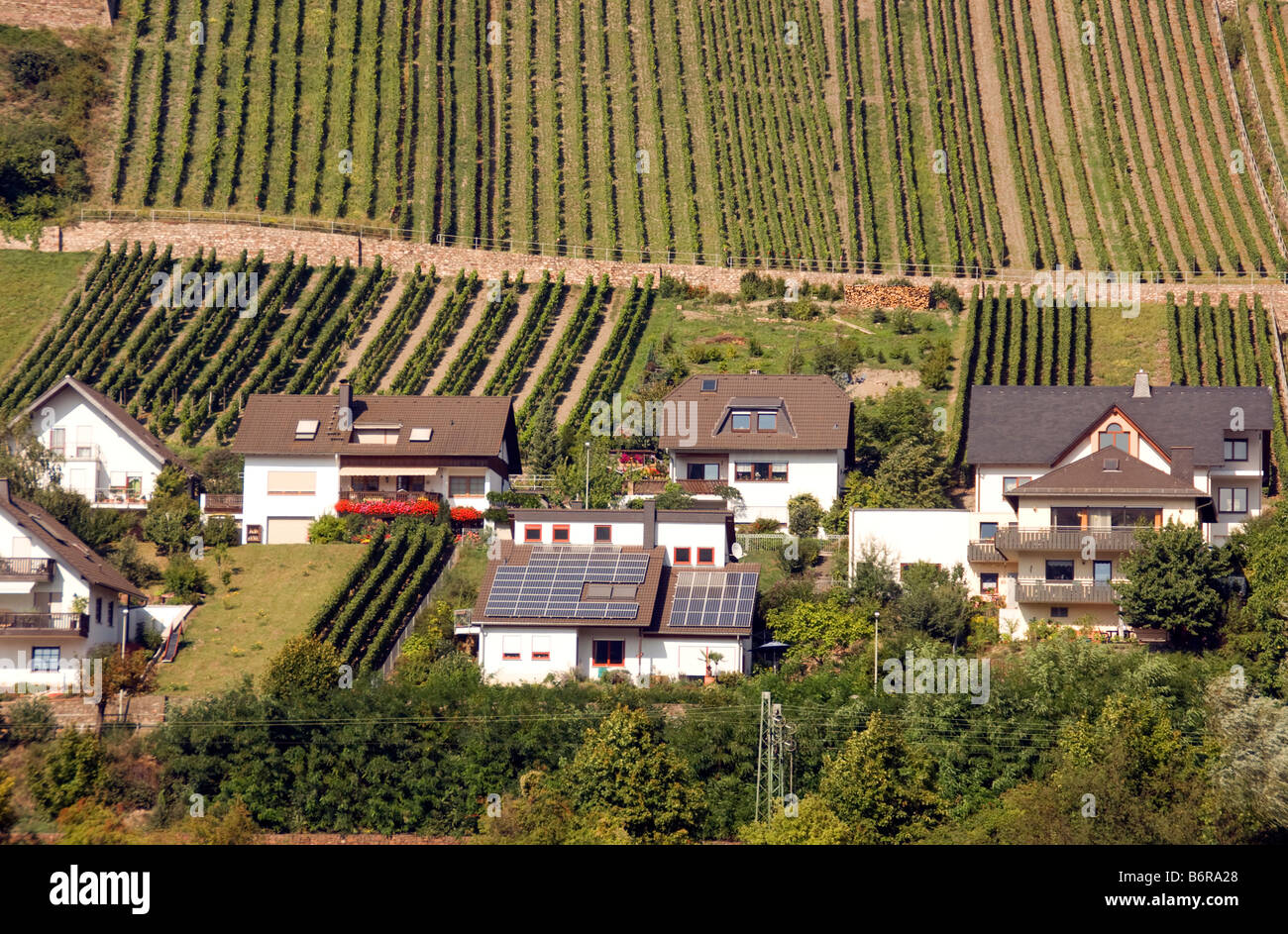 Rheingau Region Weinberge in der Nähe von Lorchhausen am Rhein mit Haus mit Solarzellen auf dem Dach Stockfoto