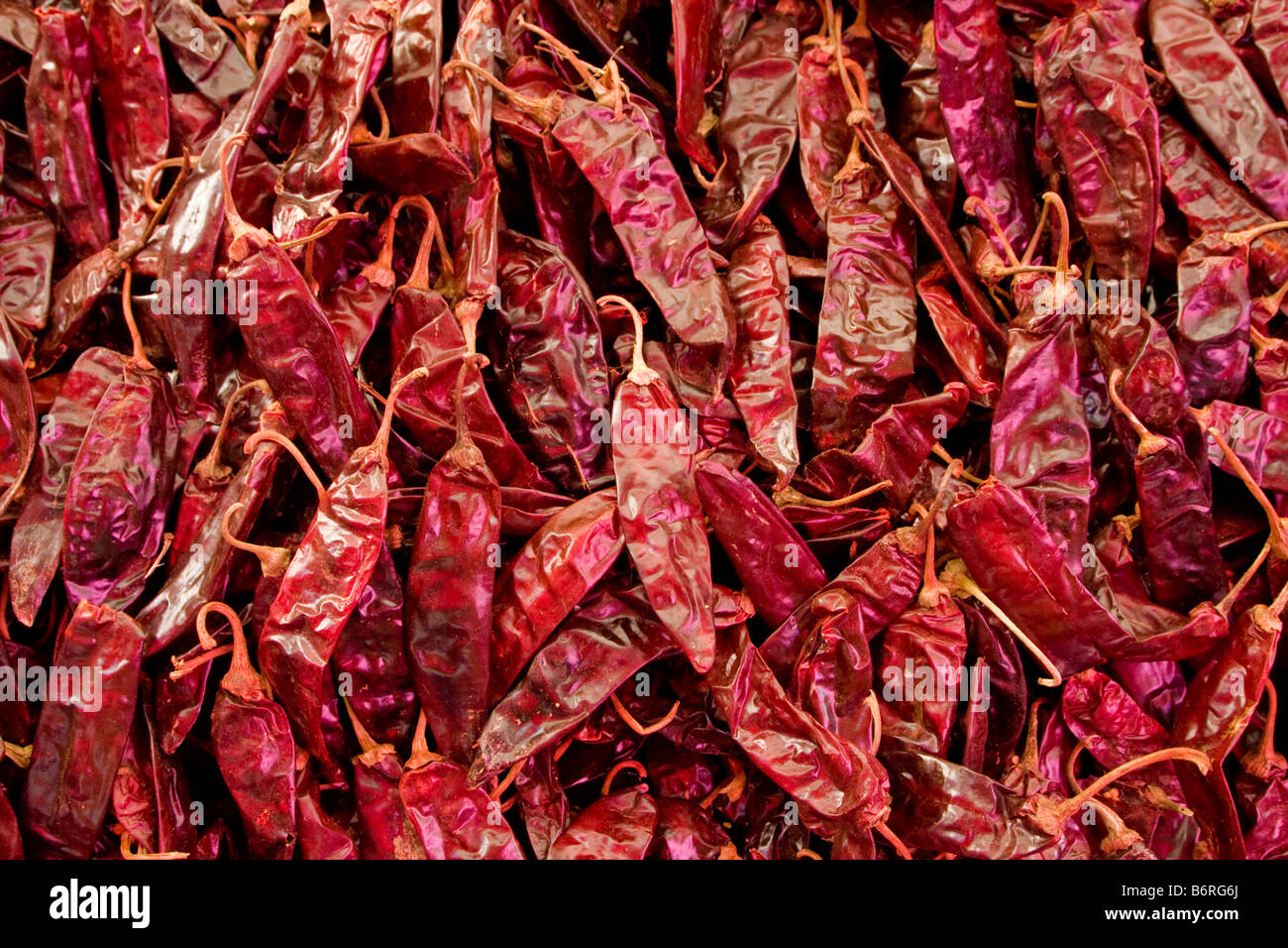 Tlacolula, Oaxaca, Mexiko. Tlacolula Market. Große rote Huajillo Chilischoten zu verkaufen. Stockfoto