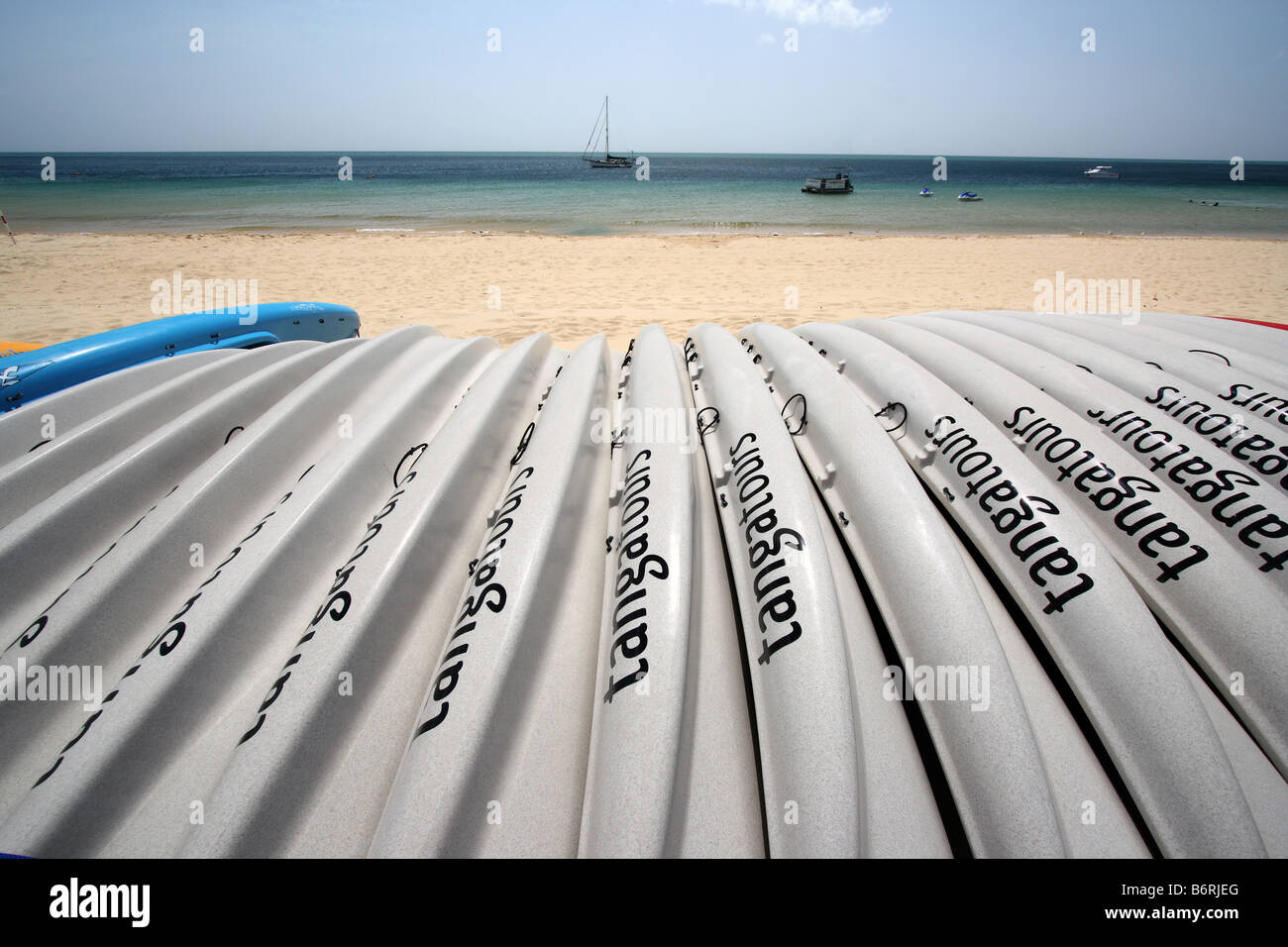 EINER REIHE VON WEIßEN KANUS, AUFGEREIHT AUF EINEM BEACH QUEENSLAND AUSTRALIEN HORIZONTALE BDB11364 Stockfoto