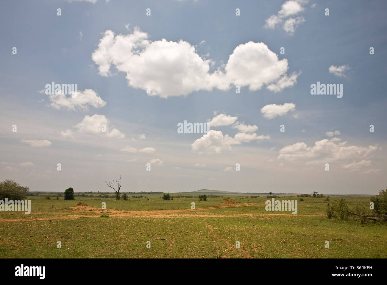 Masai Mara Game Park Kenia Afrika Landschaft Stockfoto