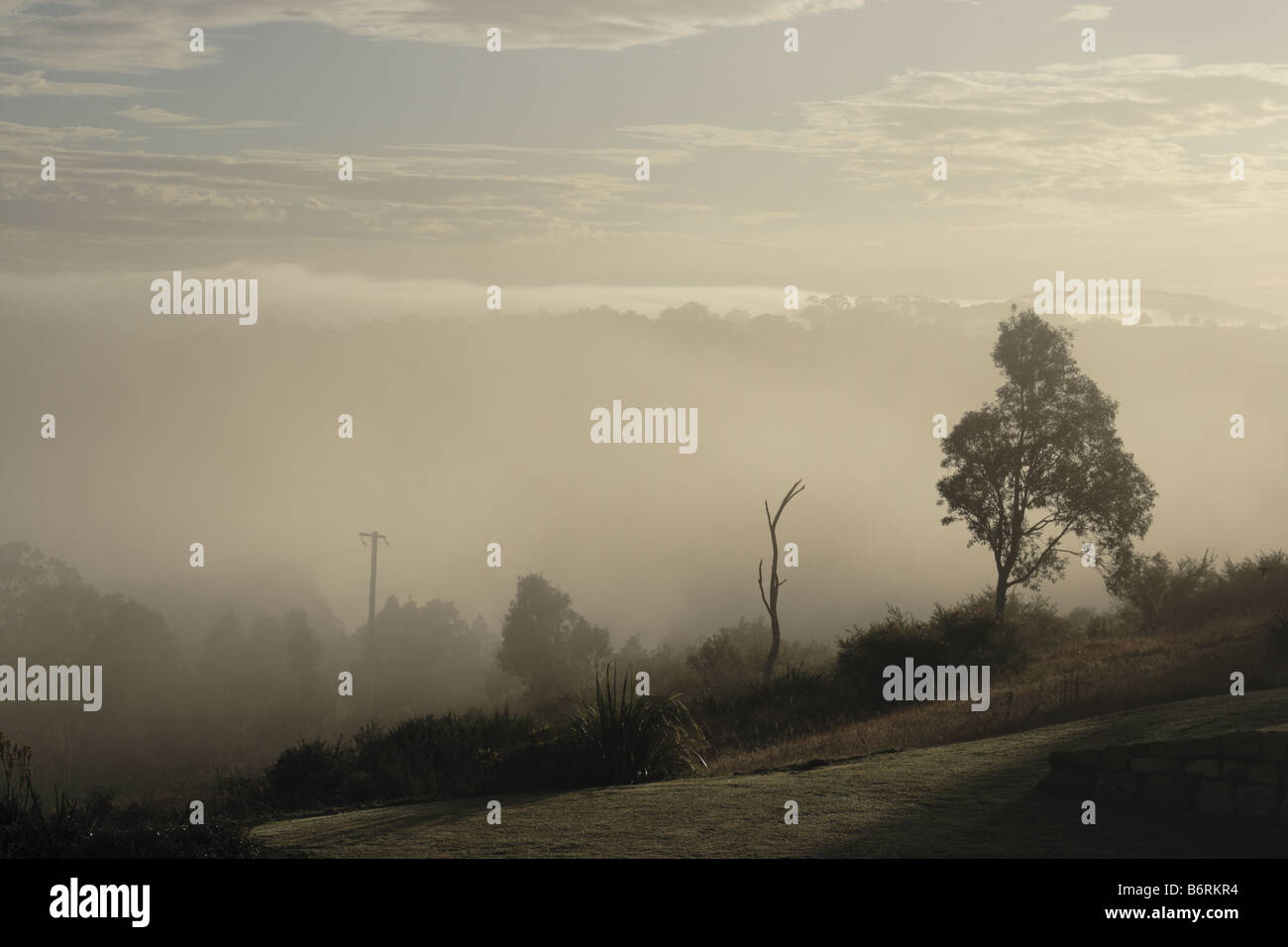 Am frühen Morgen Nebel steigt aus einem Tal, Hunter Valley, New South Wales, Australien. Stockfoto