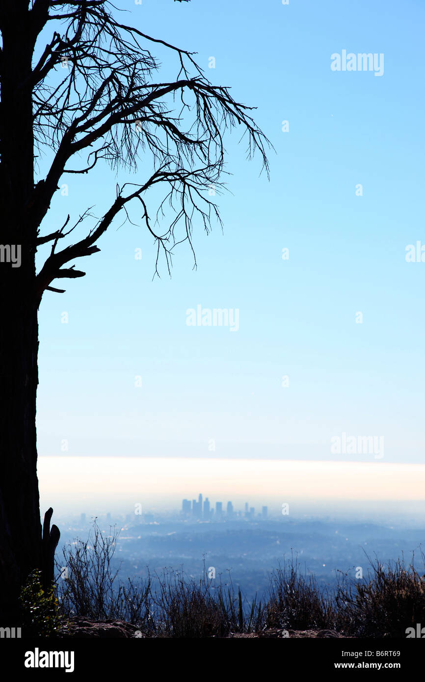 Skyline von Los Angeles in Ferne Stockfoto