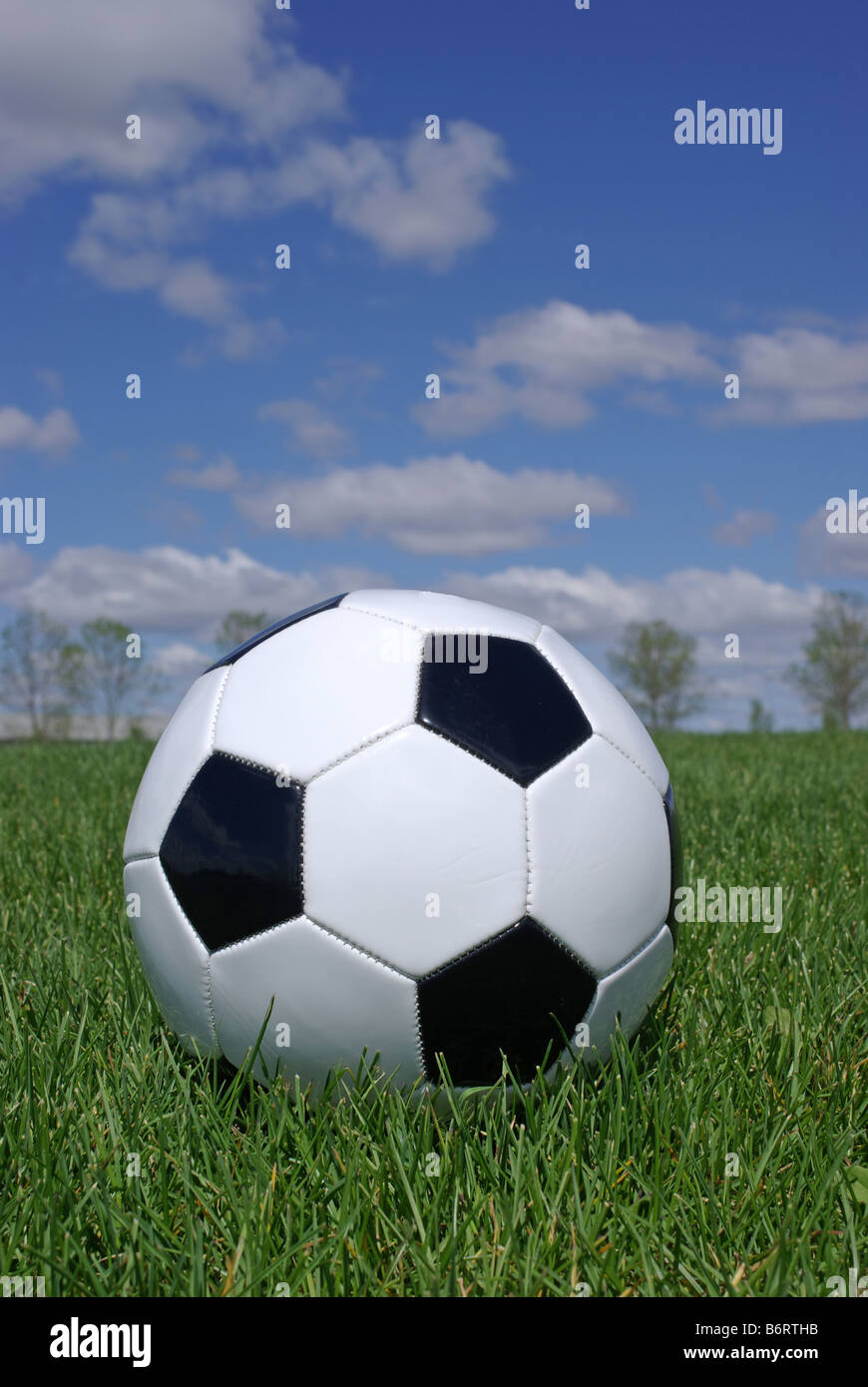 Fußball auf dem Rasen gegen blauen Himmel Stockfoto