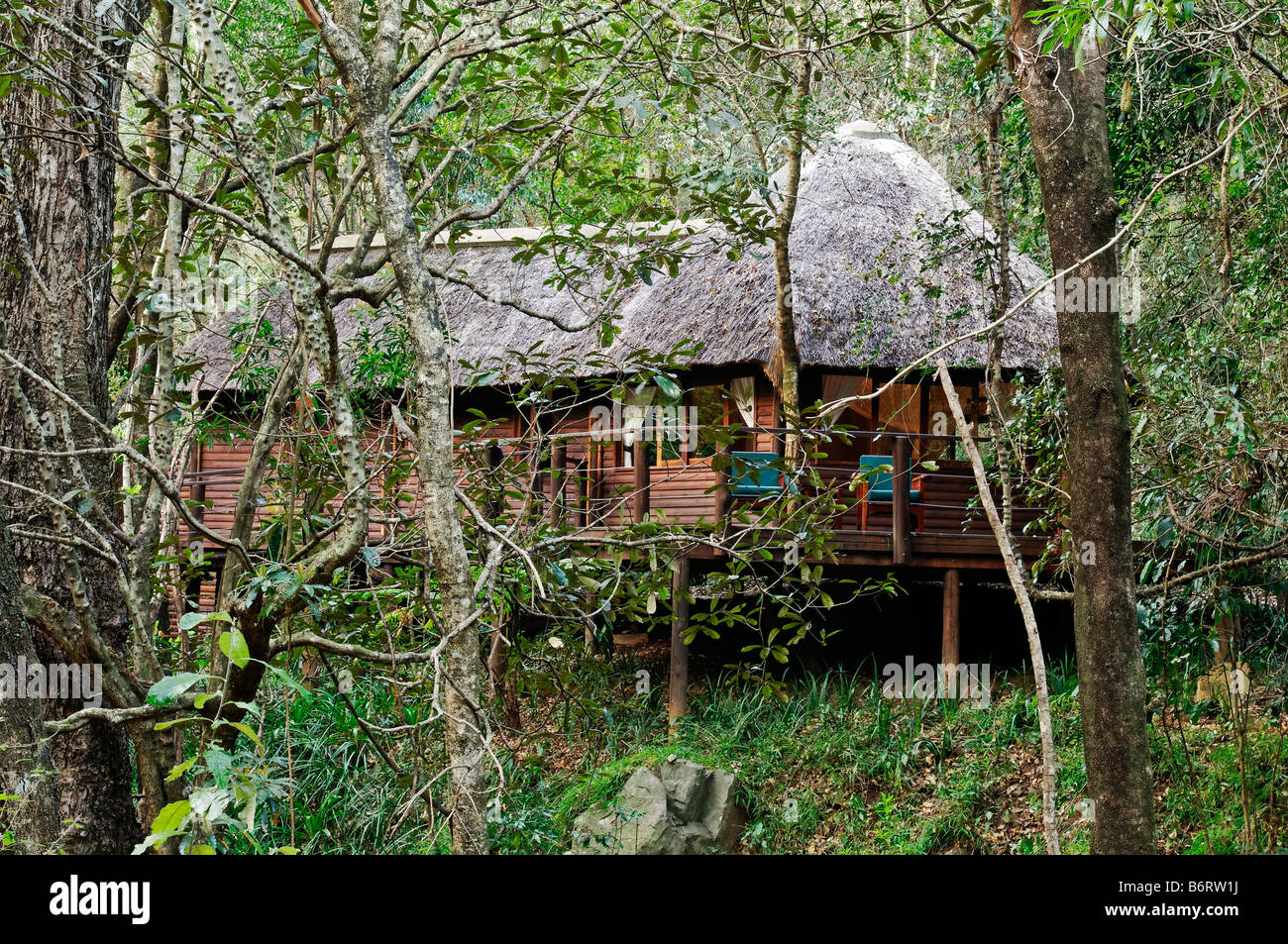 Serenity Mountain Lodge, Luxus Unterkunft im Regenwald nahe Malelane, Mpumalanga, Südafrika, Afrika Stockfoto