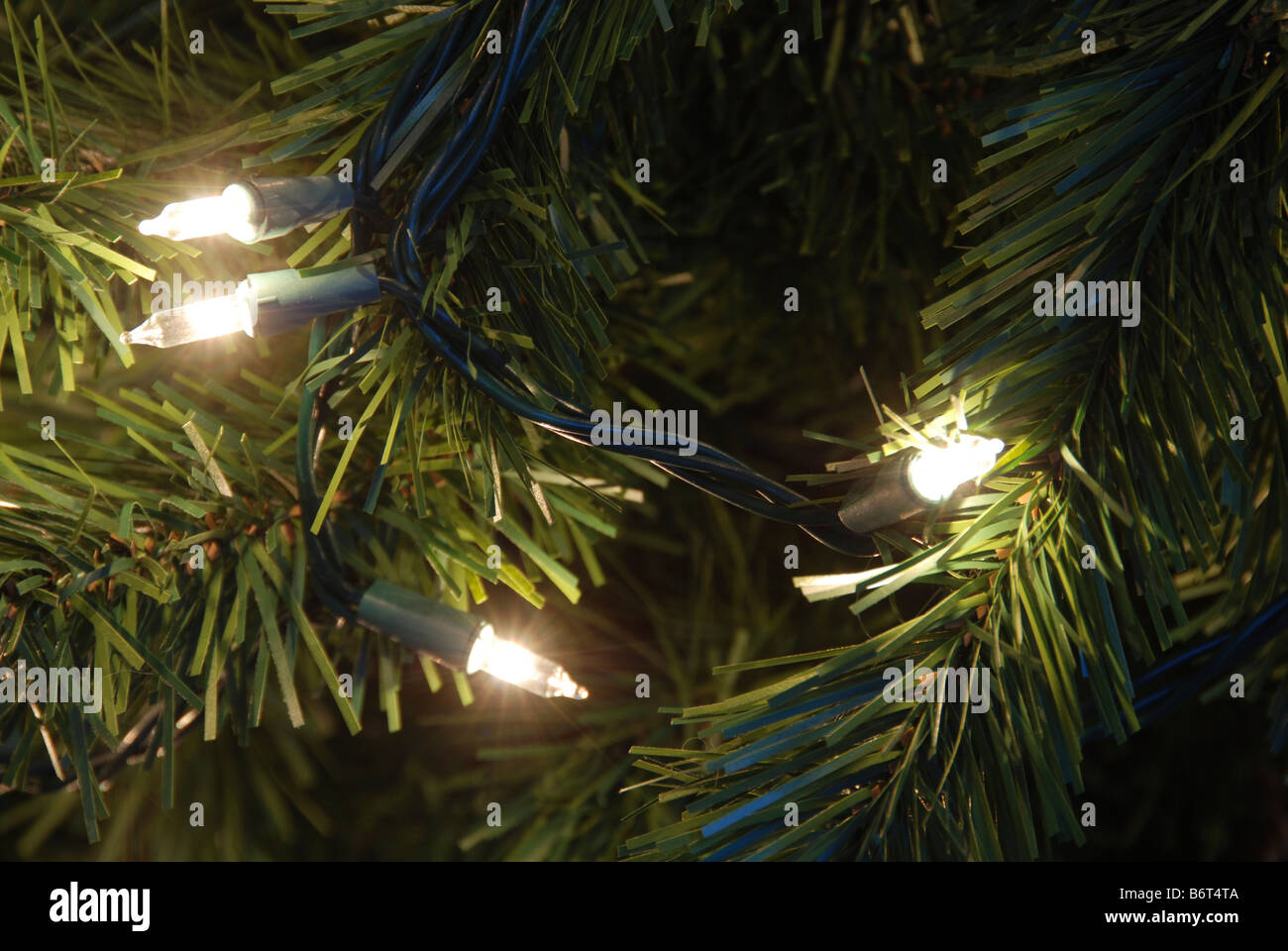 Weihnachtsbeleuchtung auf Baum Stockfoto