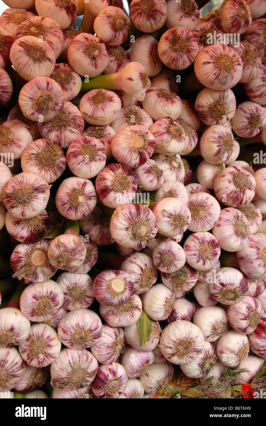 Eine Anzeige von Knoblauch Zwiebeln auf eine Frucht veg Markt am Quai Saint-Antoine in Lyon Frankreich. Stockfoto