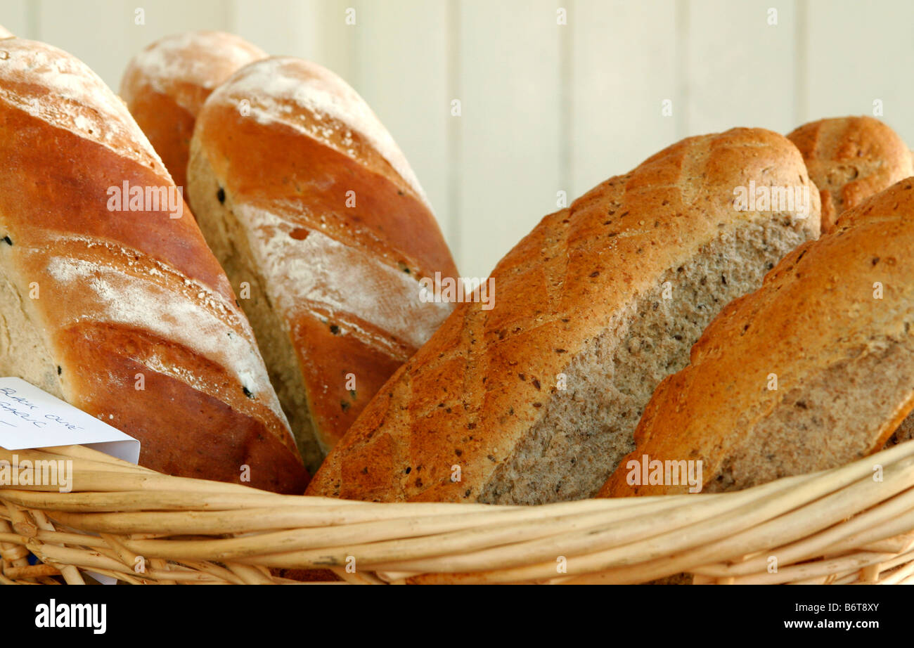 Schwarze Oliven und Knoblauch weiß lange Brote und Getreidespeicher lange Brote in einem Korb Stockfoto