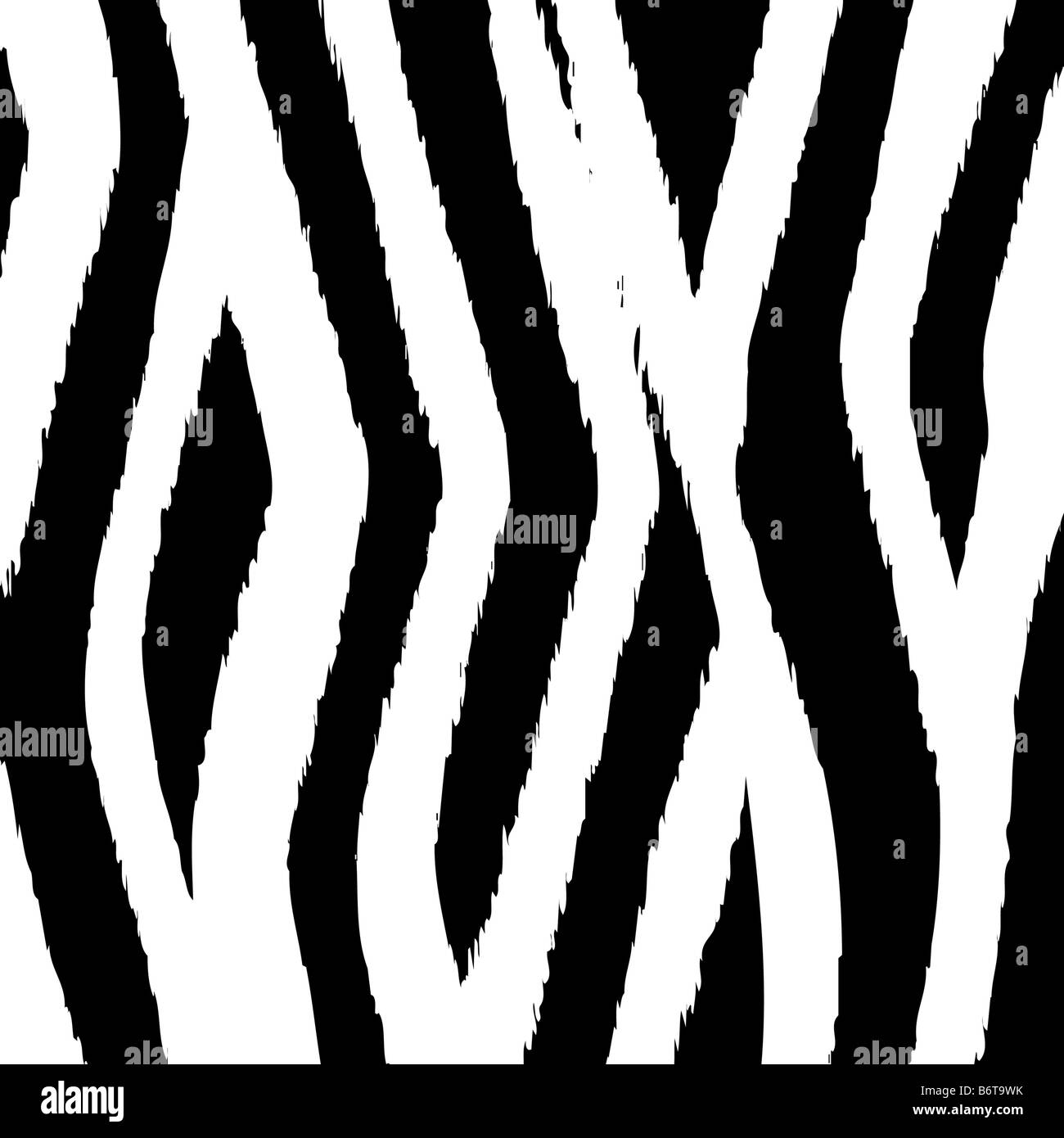Zebra-Textur-Hintergrund Stockfoto