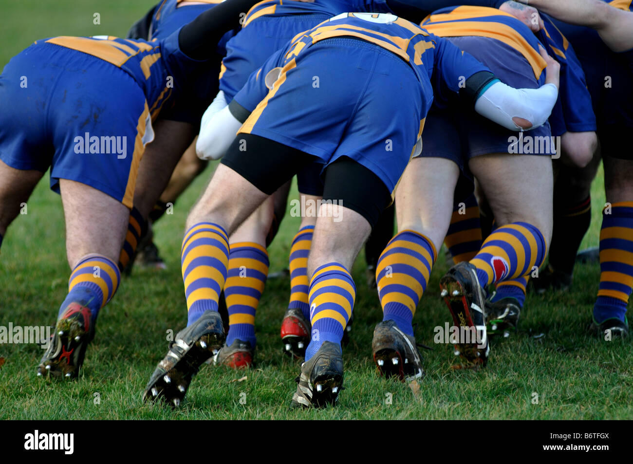 Rugby-Spieler drängen in Scrum, Leamington Spa, England, UK Stockfoto