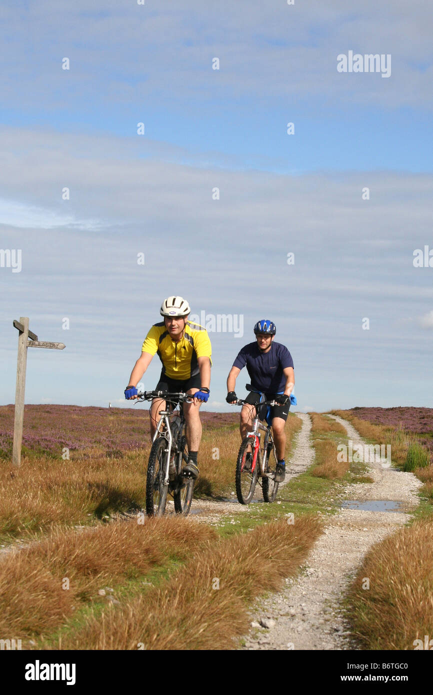 Zwei Erwachsene verfolgen männliche Mountainbiker fahren auf eine breite Kreuzung Embsay Moor, Yorkshire Dales Stockfoto