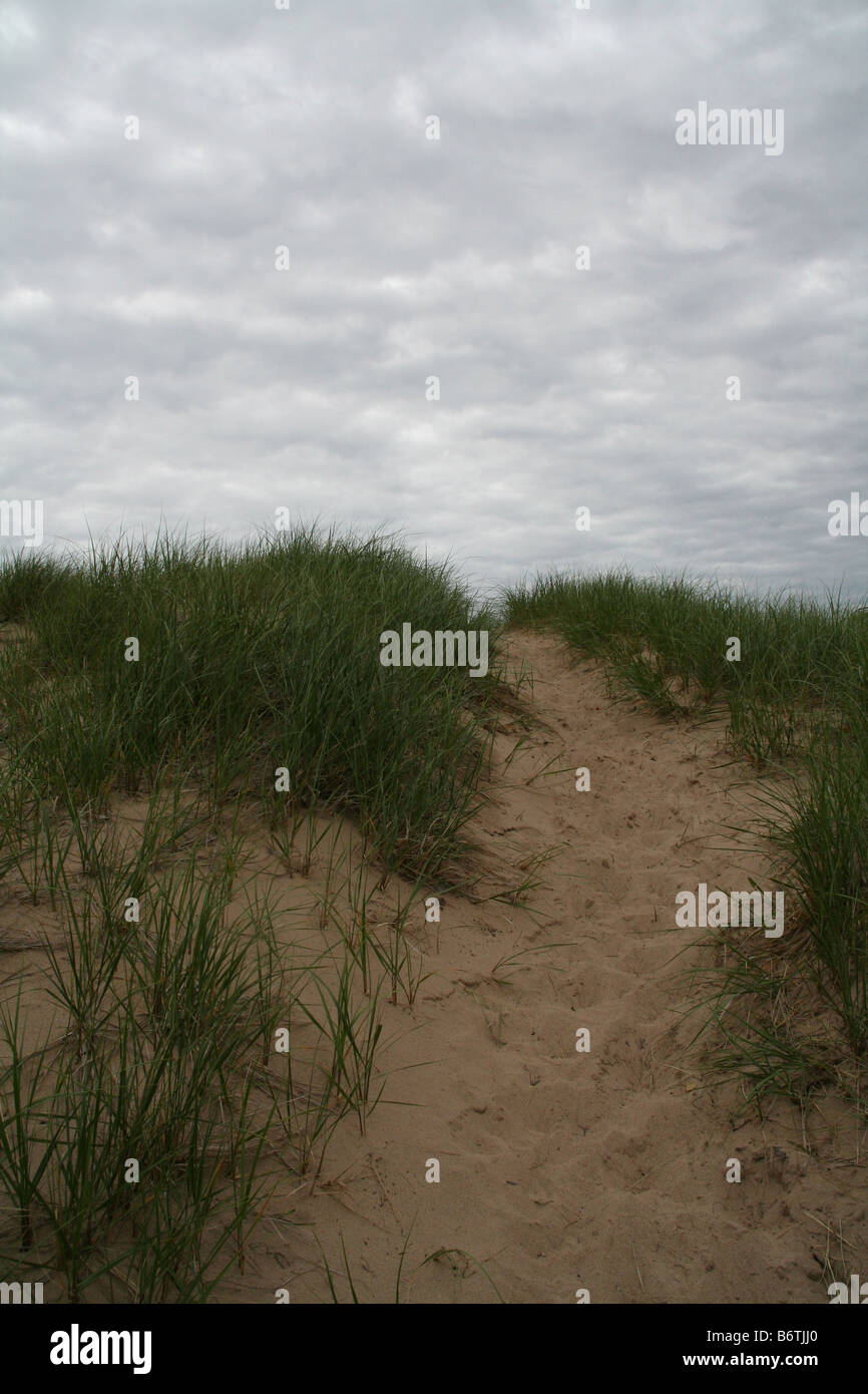 Sandy Dune mit hohe Gräser mit einer Spur zum Gipfel gegen grauen bewölktem Himmel bedeckt. Stockfoto