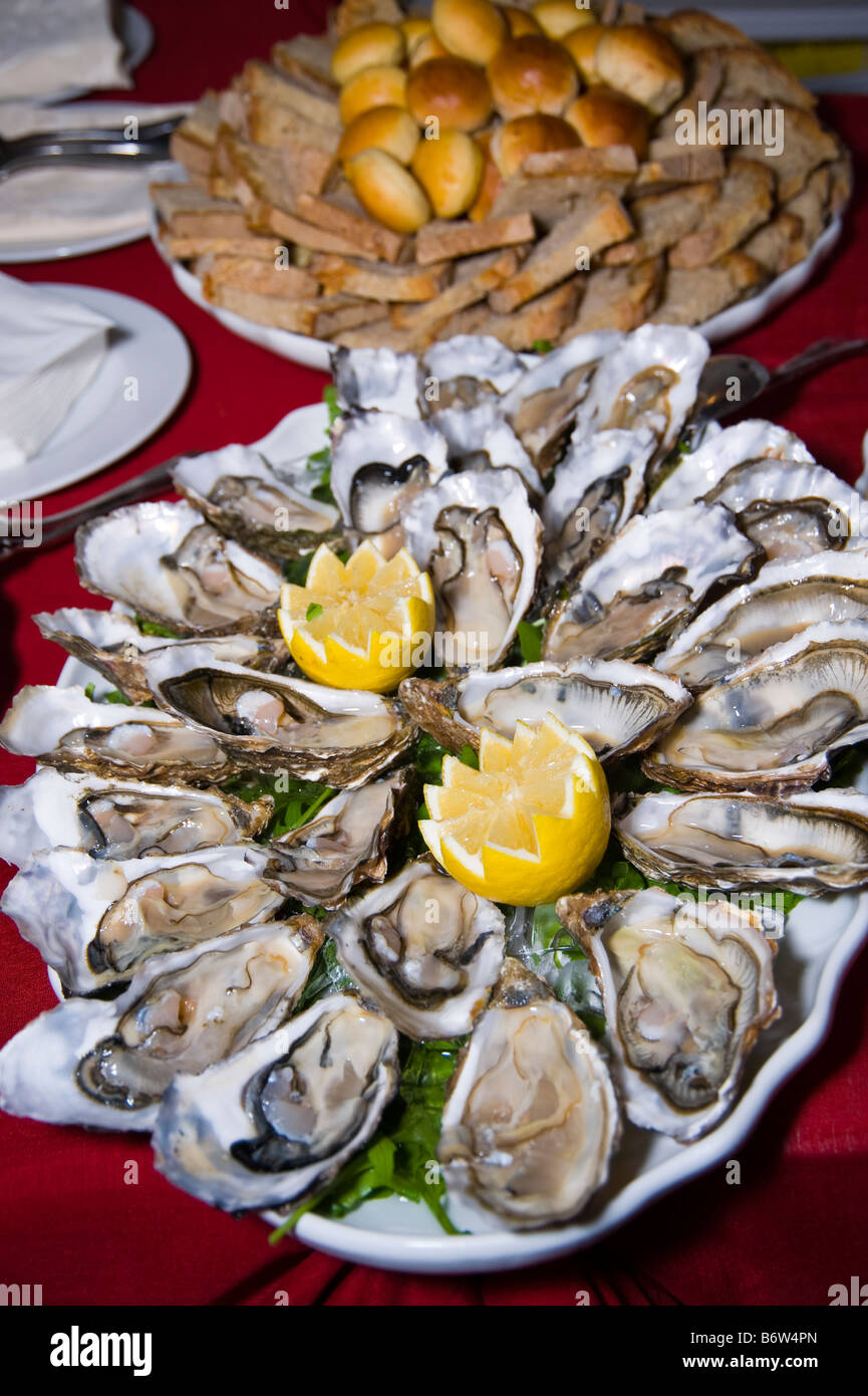Austern auf einem Teller Stockfoto