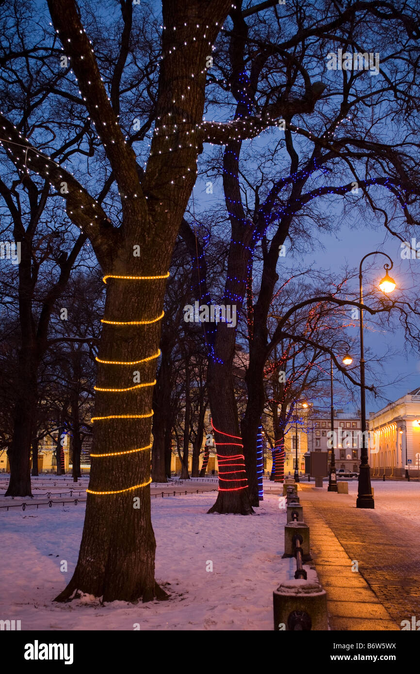 Dekorativ - Licht Design die Stämme der Bäume led Girlanden. Der Platz der Künste, St.-Petersburg, Russland. Stockfoto