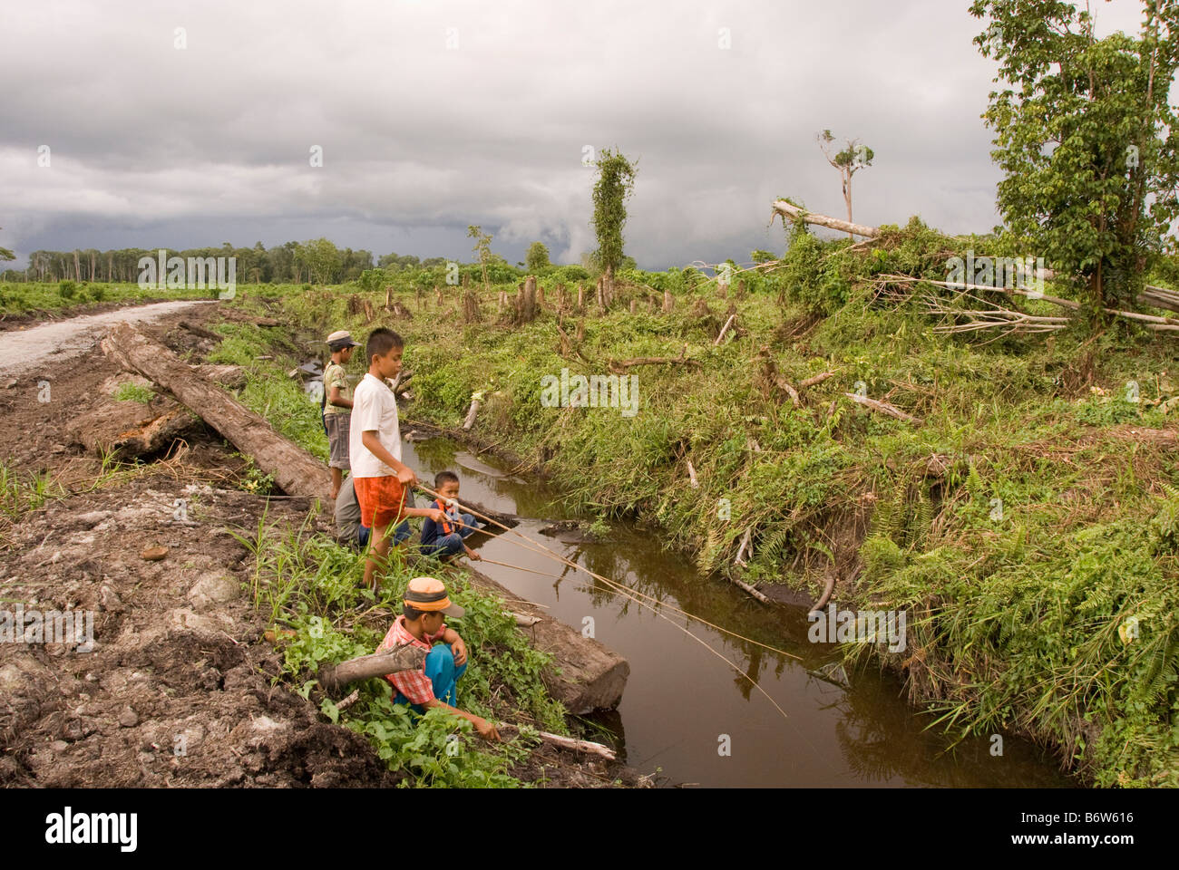 Indonesische Kinder Angeln in einem Entwässerungskanal geschnitten um ehemalige Torf Wald Sumpf für Palmöl-Plantagen zu löschen Stockfoto