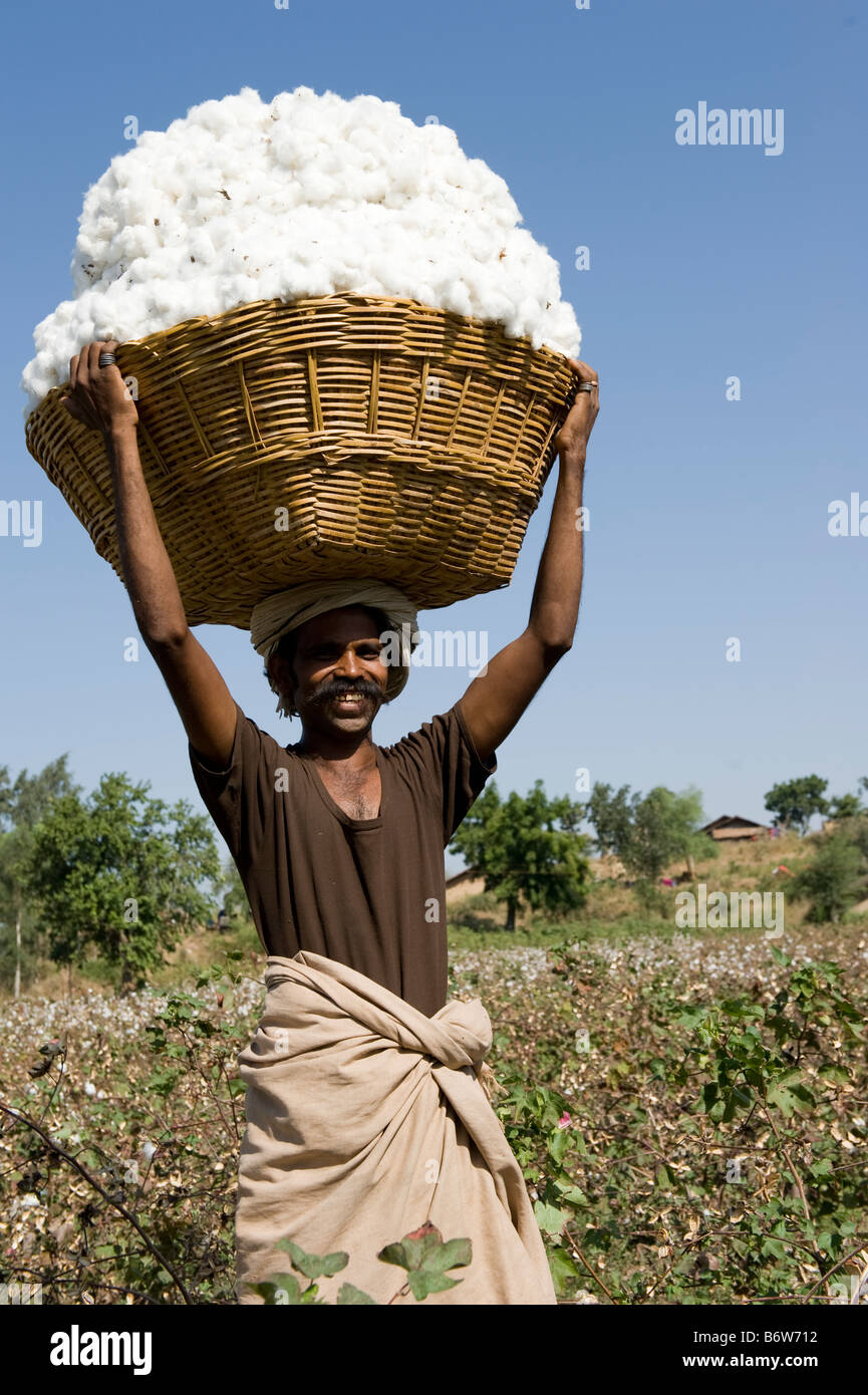 Indien M.P. Khargone, Fair Trade und Bio-Baumwolle Landwirtschaft Stockfoto