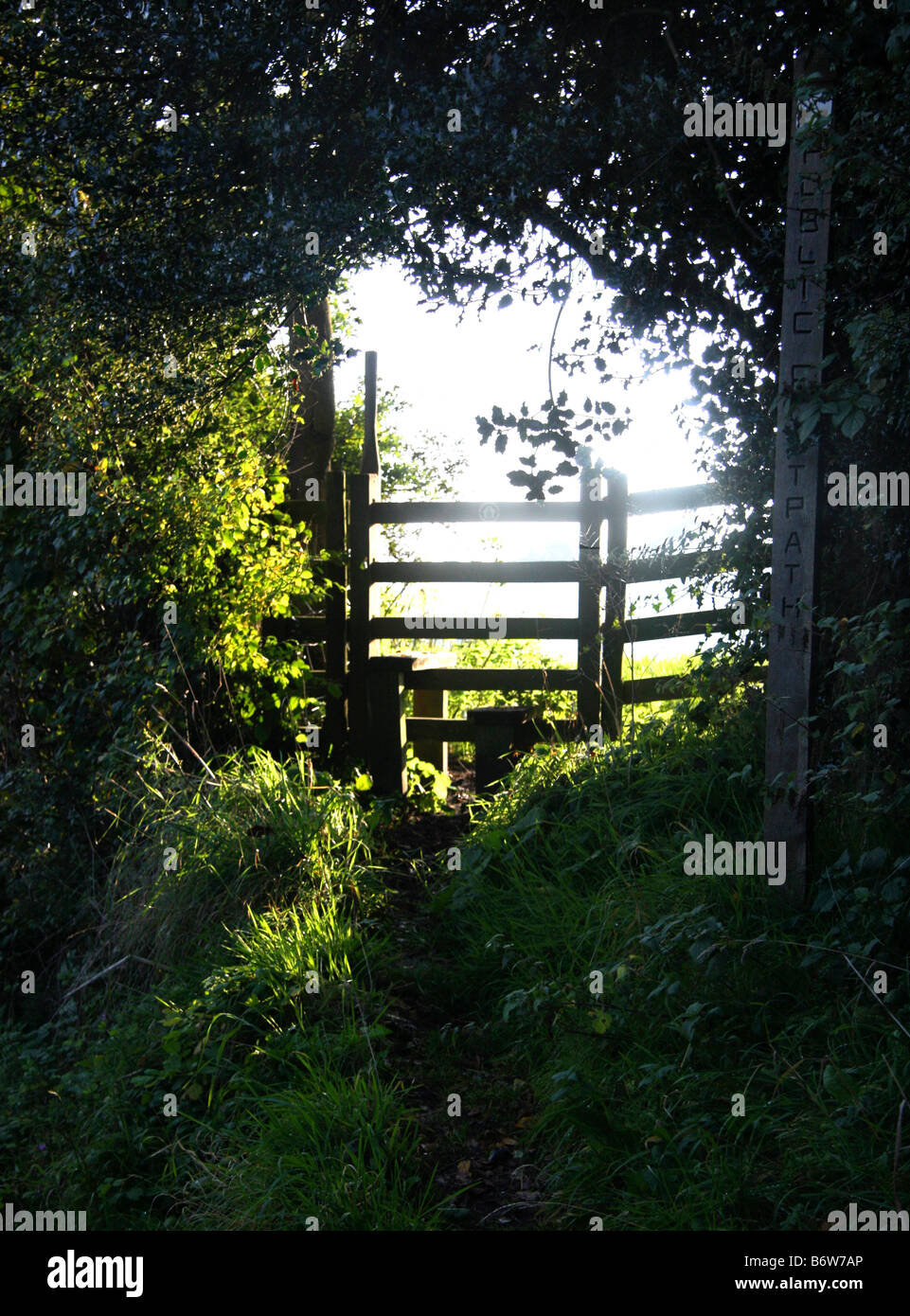 Wald-Pfad öffnen sich zu strahlendem Sonnenschein über den Stil Stockfoto