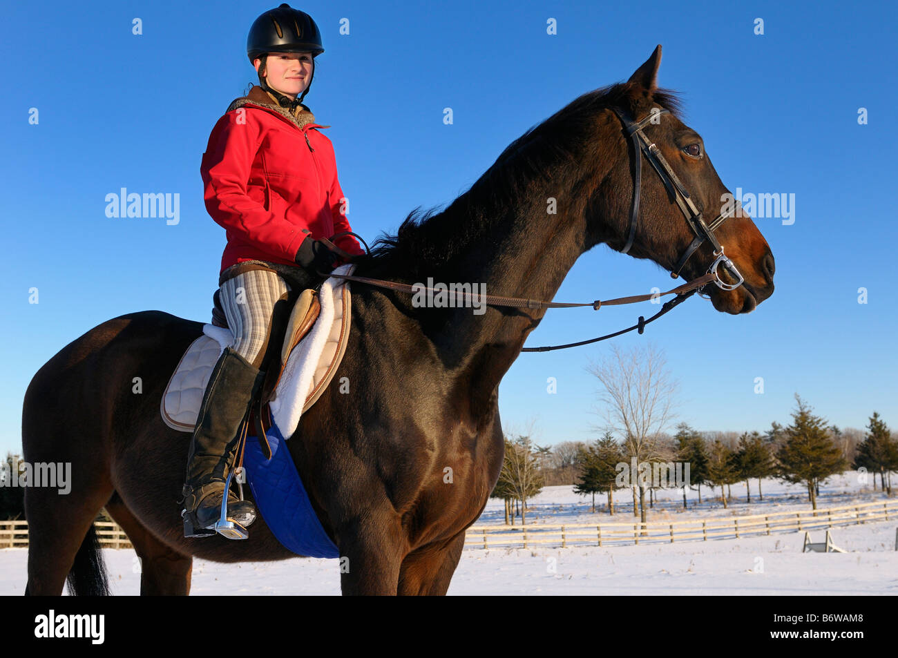 Junge Reiterin in rote Jacke auf dem Pferderücken Vermessung ein Feld für einen Trainingslauf auf einem blauen Himmel Wintertag Stockfoto