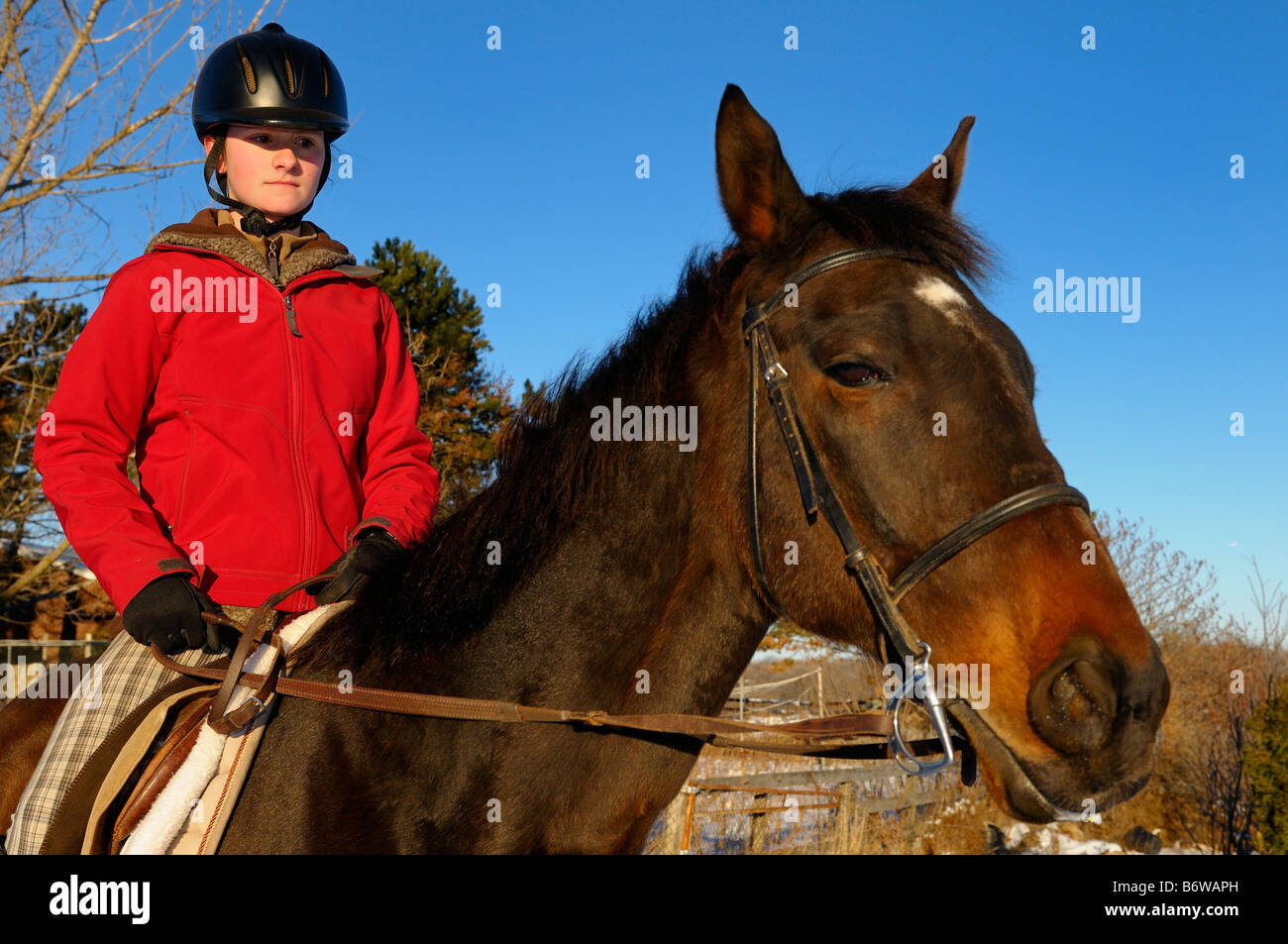 Junge Reiterin auf dem Pferderücken in rote Jacke, die Ausbildung ihres Pferdes auf einem Winterwanderweg mit blauem Himmel Ontario Stockfoto