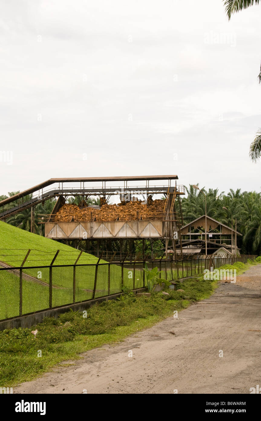 Palmöl-Mühle in Sumatra, Indonesien Stockfoto