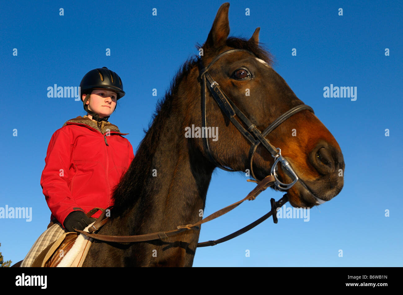Junge Reiterin in rote Jacke auf ihr Pferd vor einem blauen Himmel Stockfoto