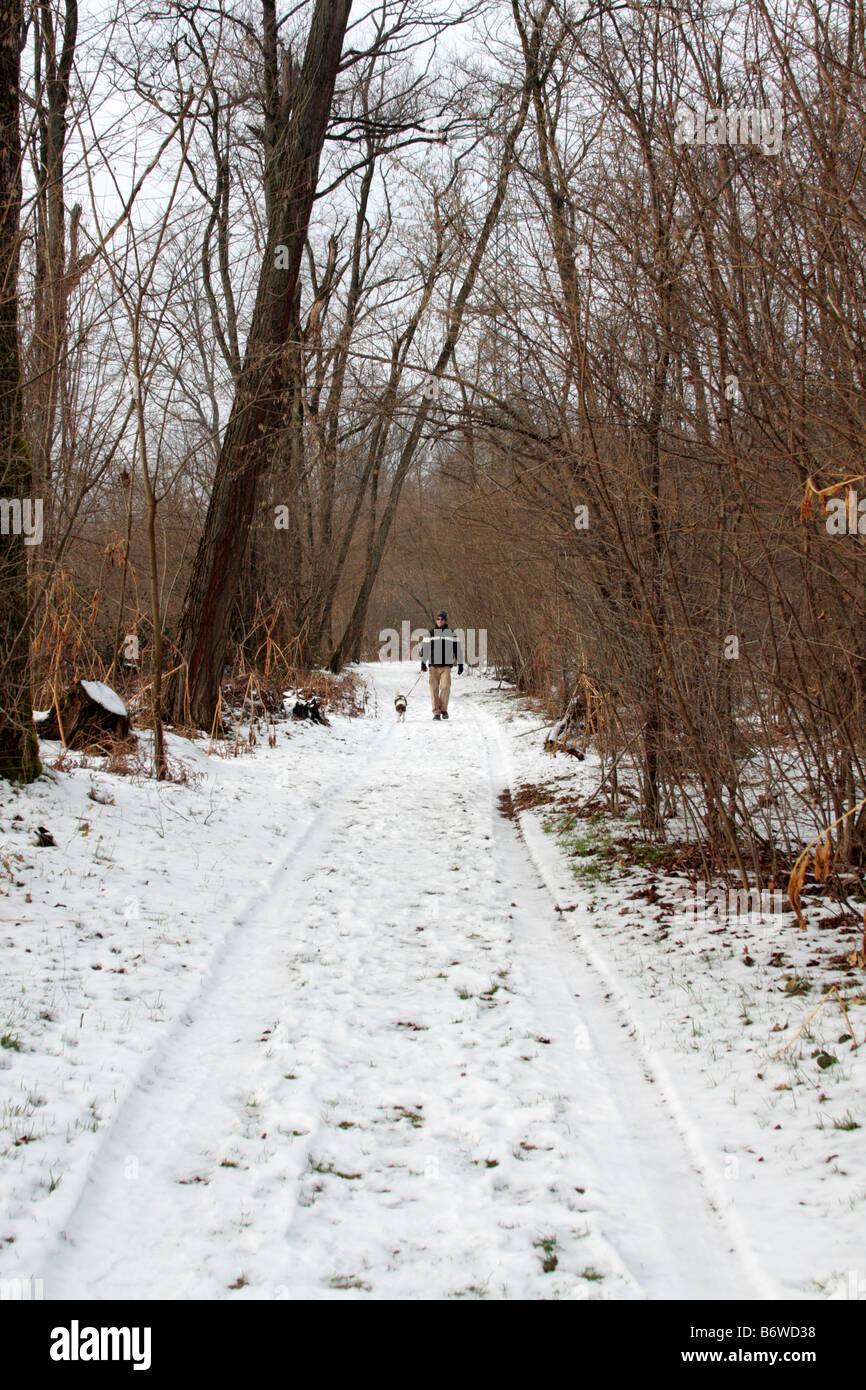 Mensch und Hund, Wandern im winter Stockfoto