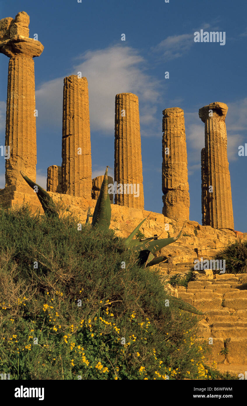 Tempel der Juno im Tal der Tempel in der Nähe von Agrigento Sizilien Italien Stockfoto