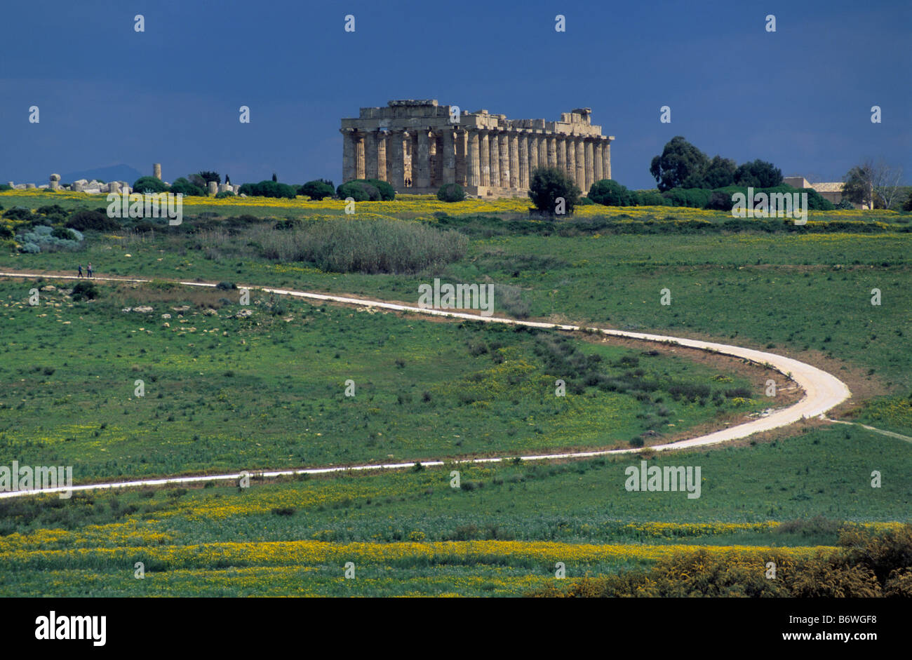 Tempel-E am östlichen Zone des Tal der Tempel in Selinunt im Frühjahr Sizilien Italien Stockfoto