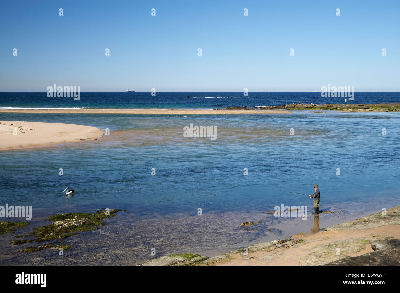 Pelikan und Angler am Eingang New South Wales Australien New South Wales Australien Stockfoto