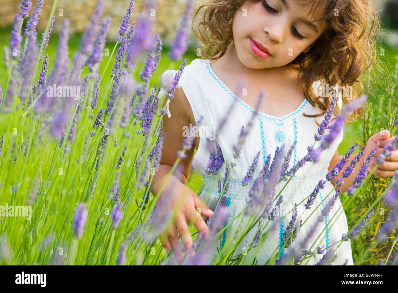 Ein Mädchen Blick auf Lavendel Stockfoto