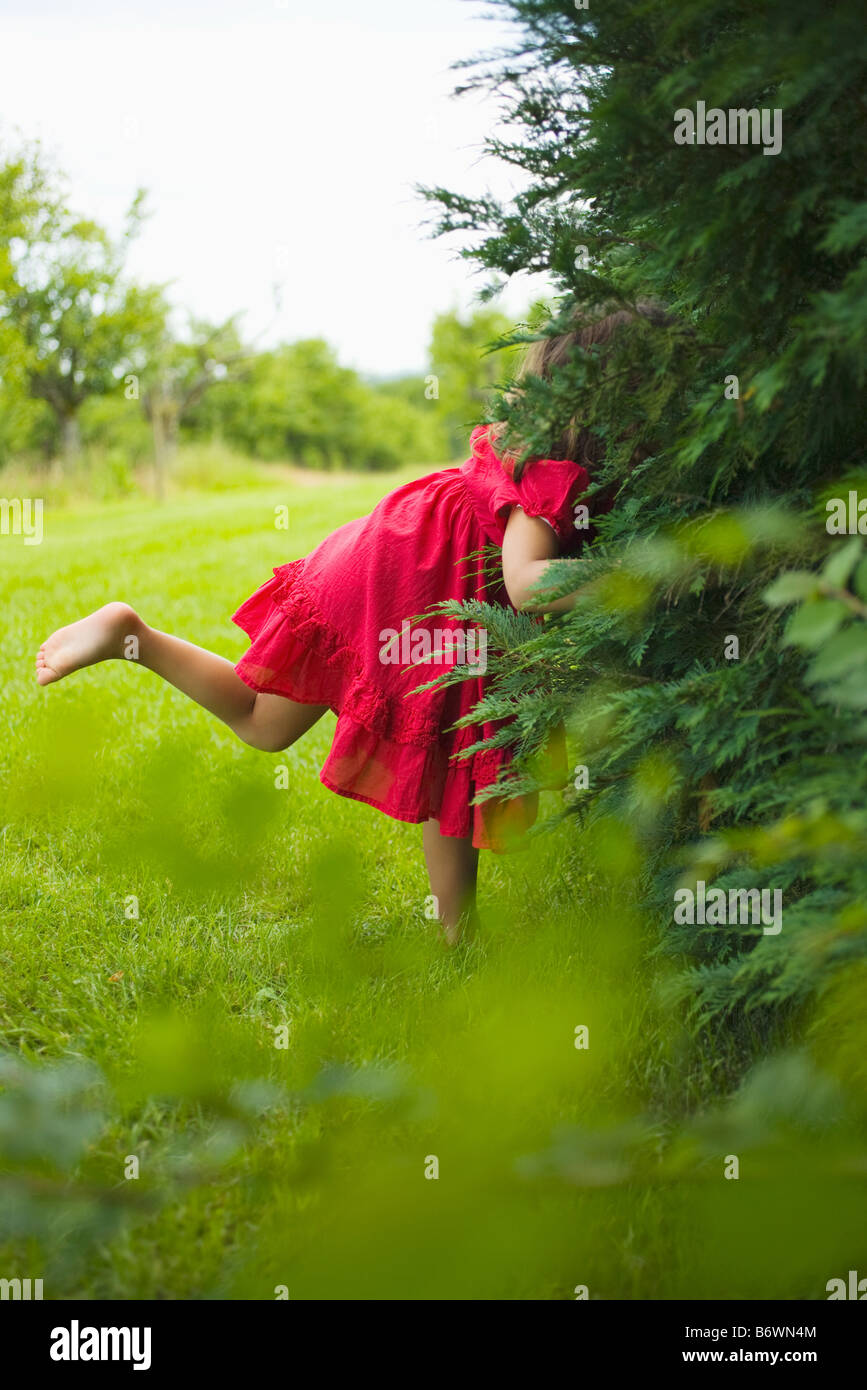 Ein Mädchen auf der Suche in den Büschen Stockfoto
