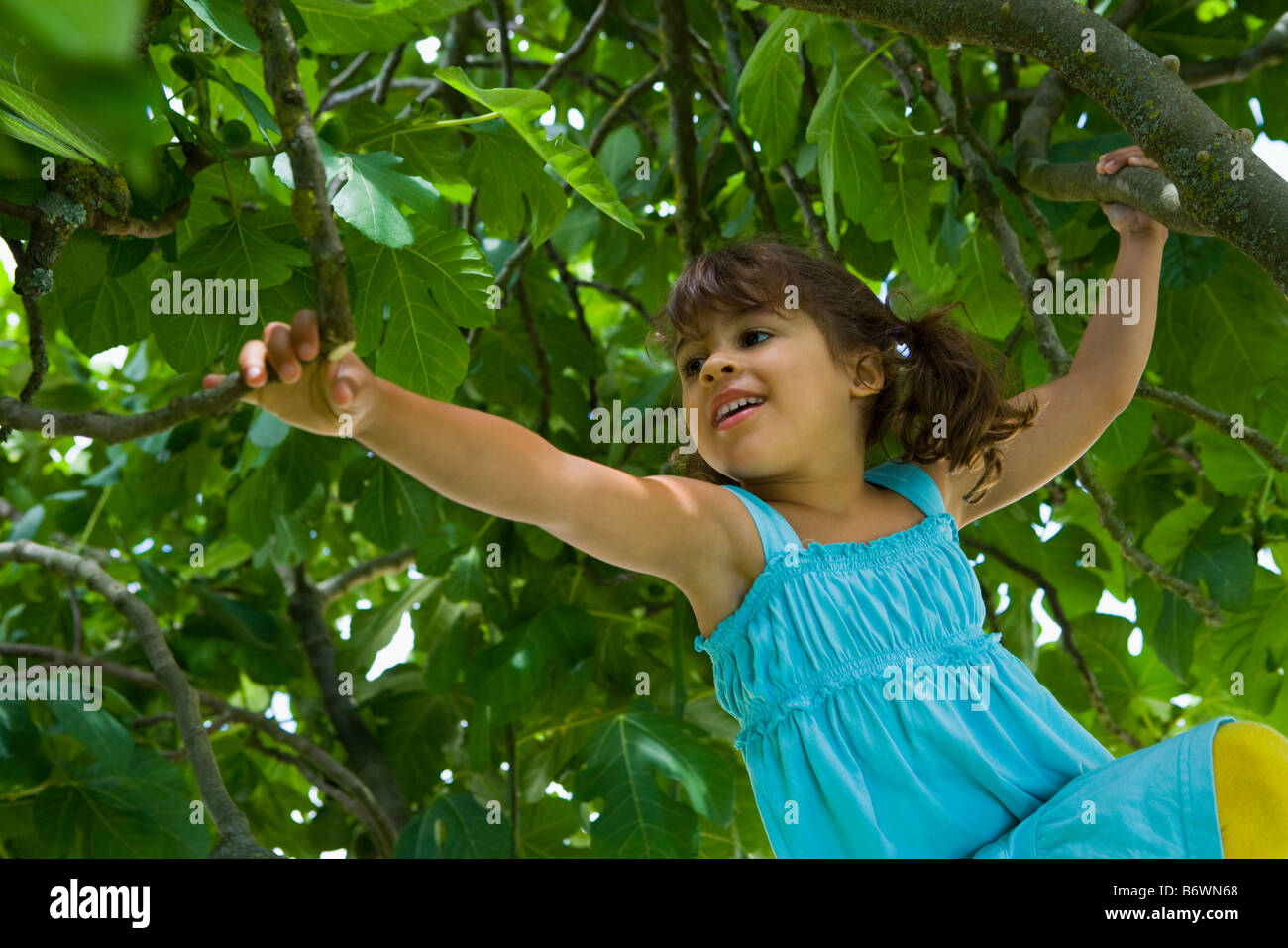 Ein Mädchen, die einen Baum klettern Stockfoto